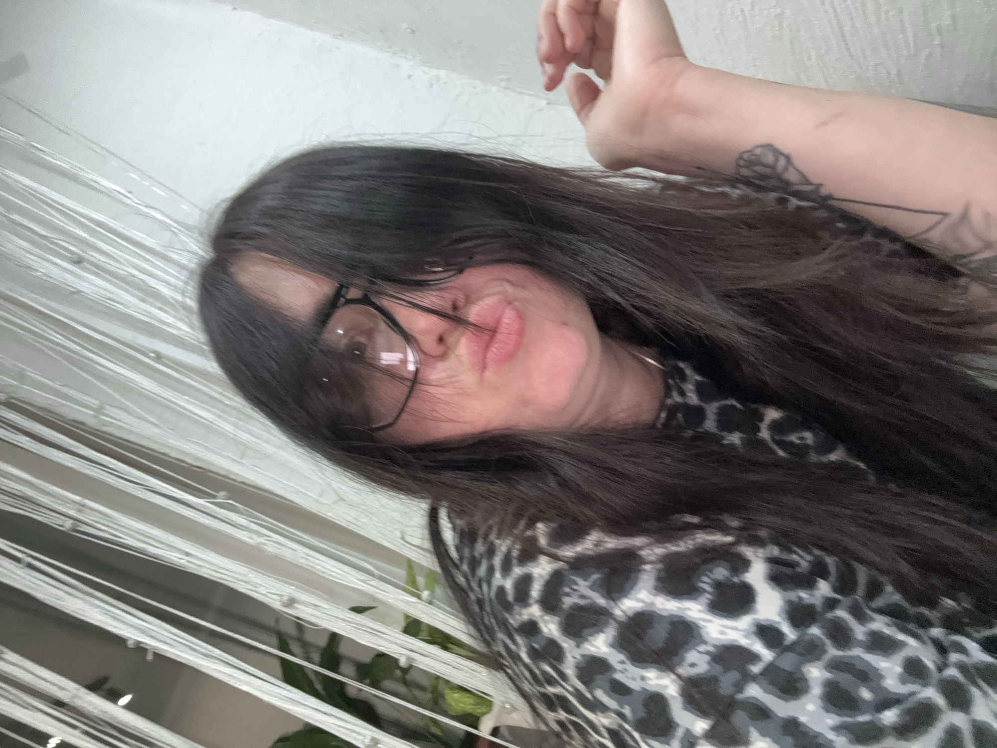 Woman documents afternoon with husky and cats through selfies
