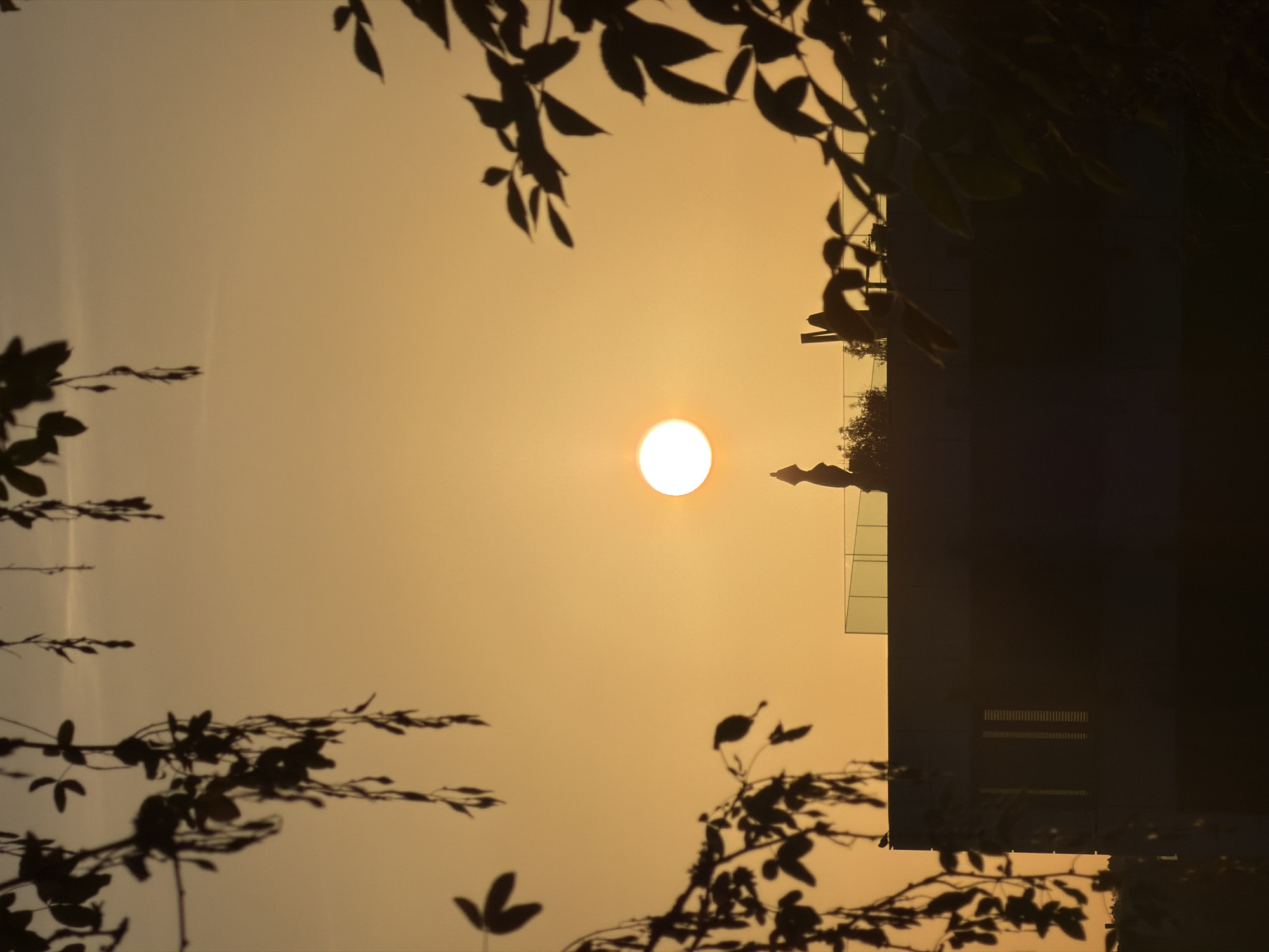 Sunset silhouettes and street-level details in Leudelange