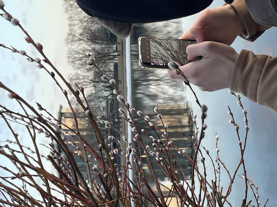 Spring sunset photography session documented along Saint Petersburg waterways