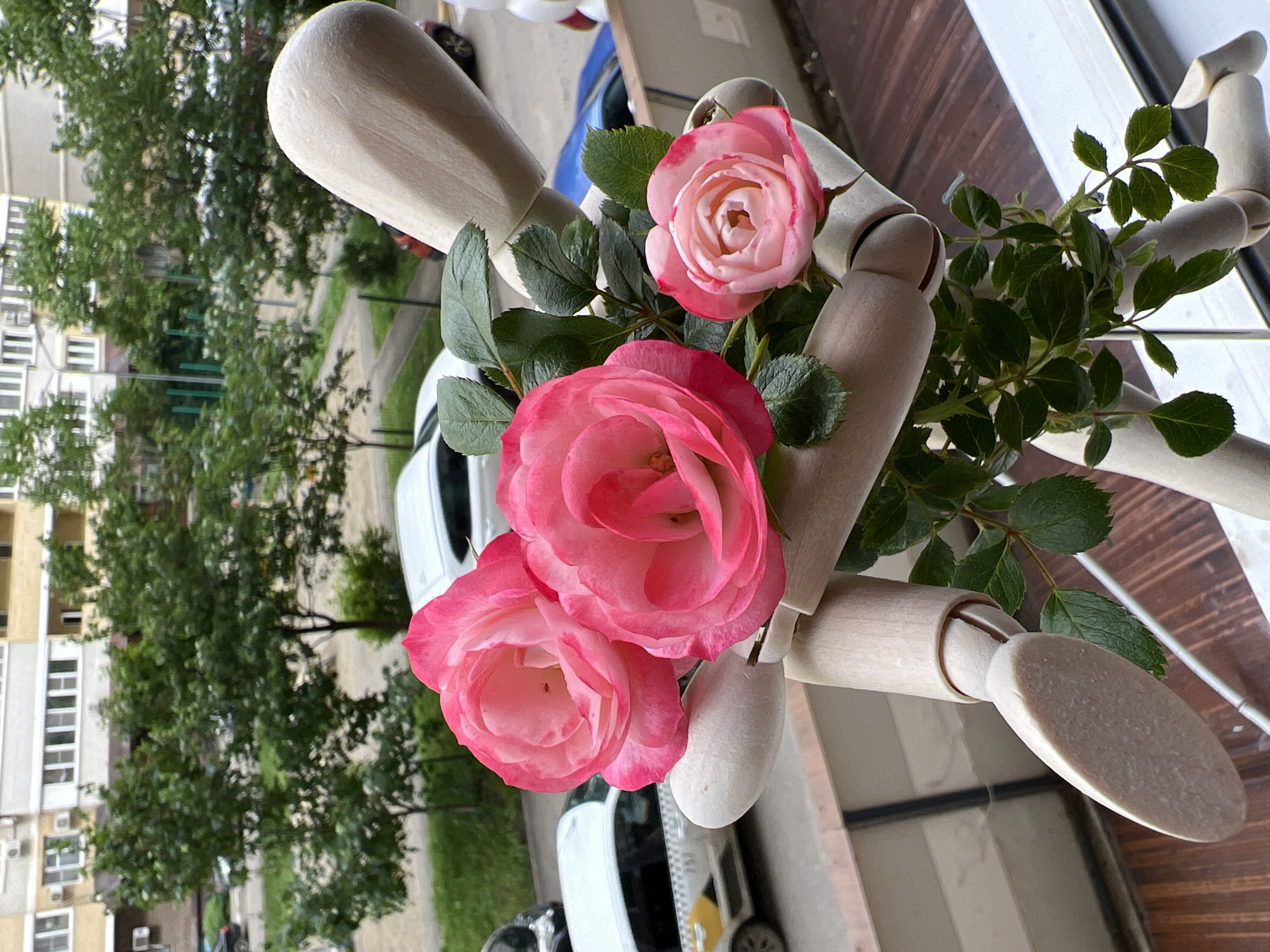 Artist documents wooden mannequin with roses in Krasnodar balcony session