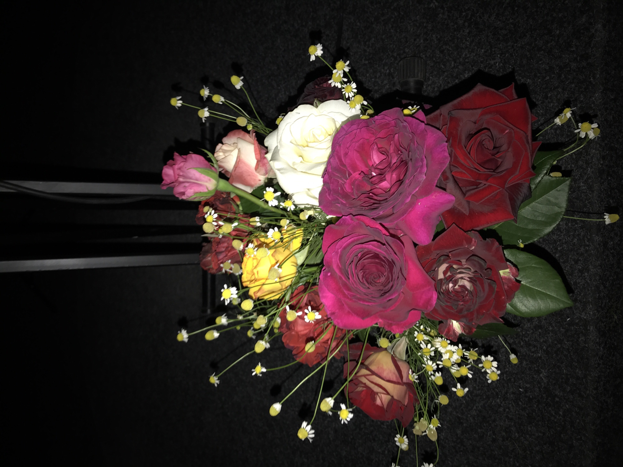 Flowers bloom and arranged in bouquets observed Kherson Ukraine
