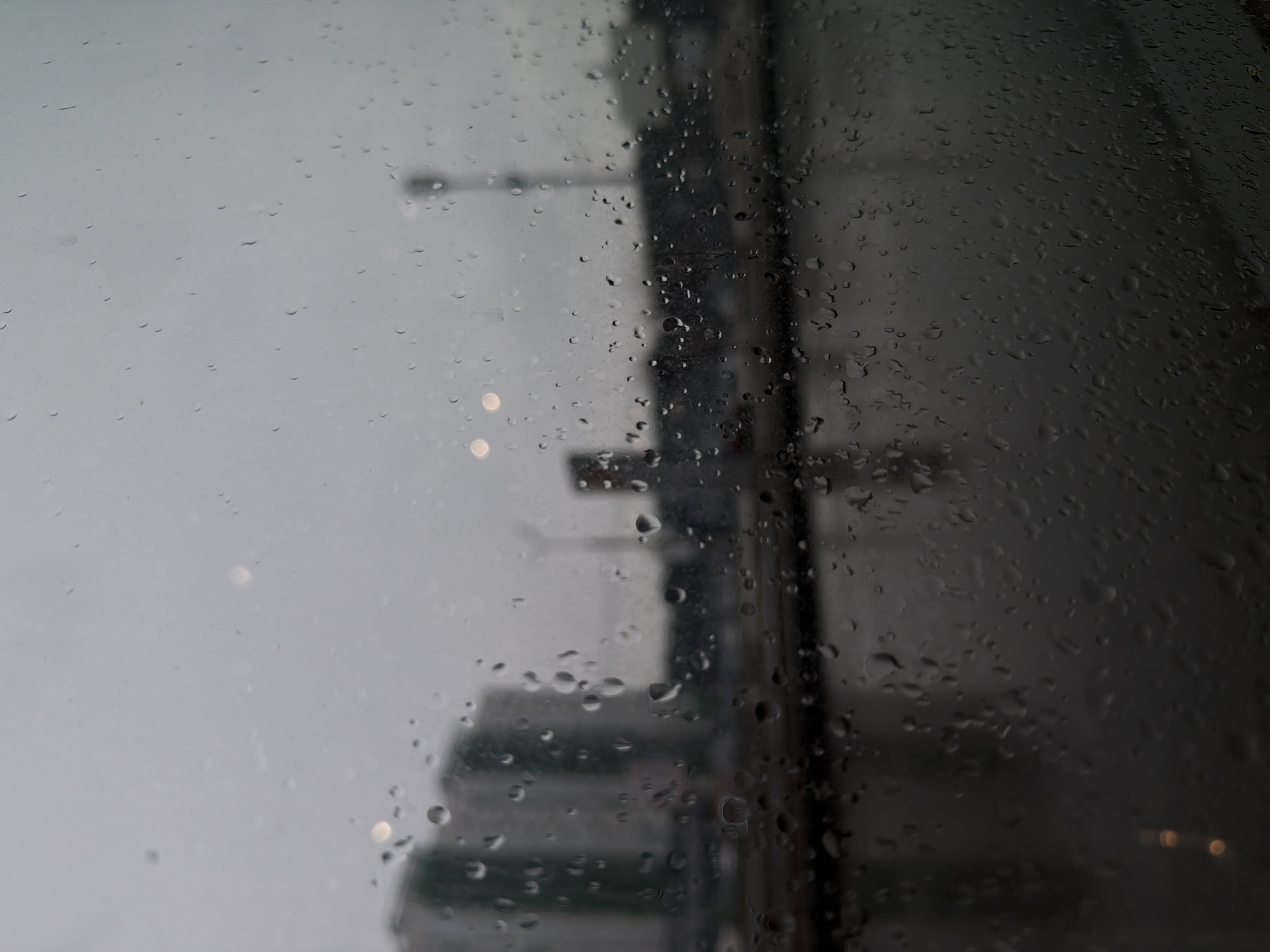 Wet Jaguar documented during morning rain in Izhevsk, Russia