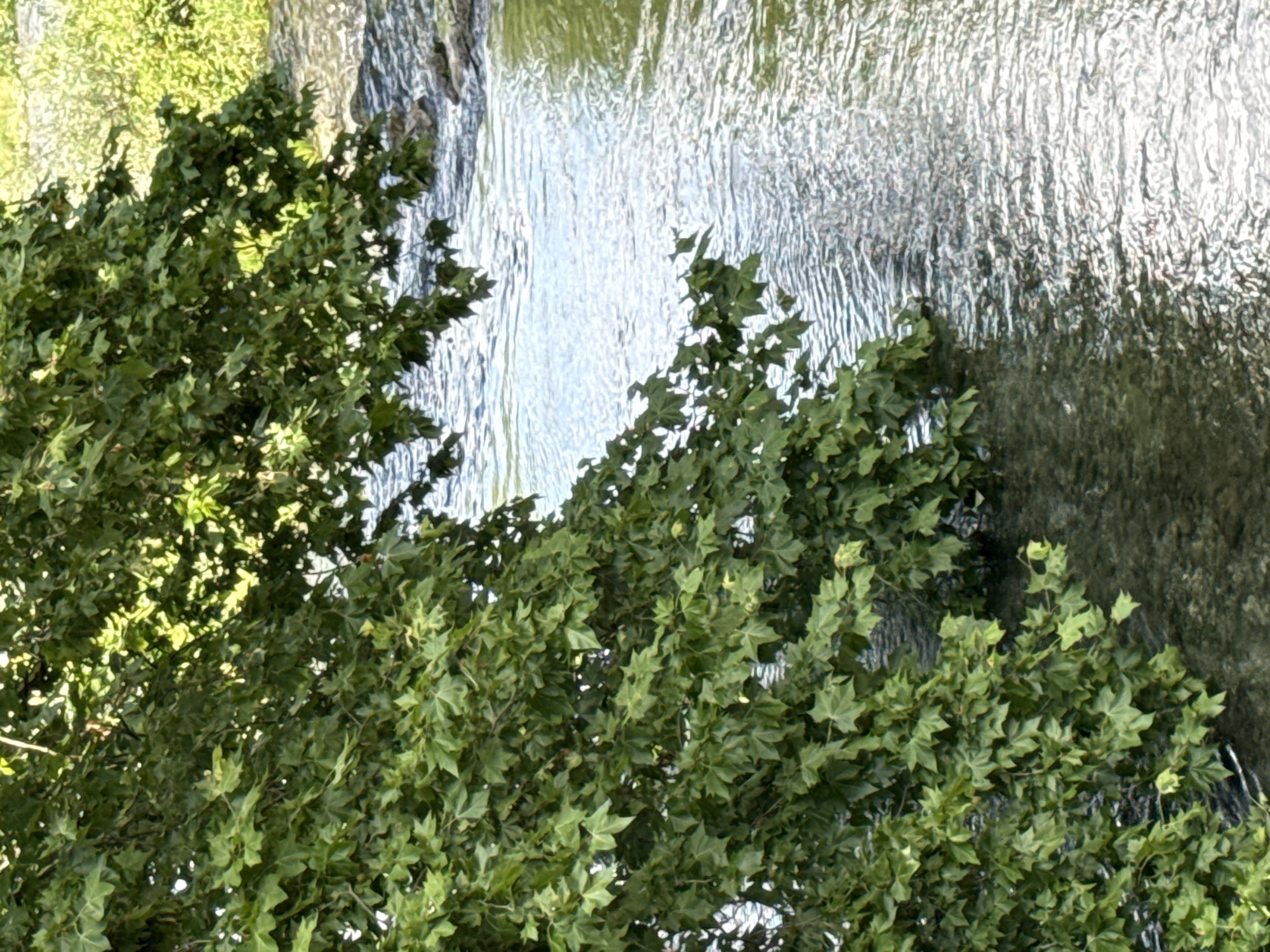 Clear Limmat River water seen from above, Zurich