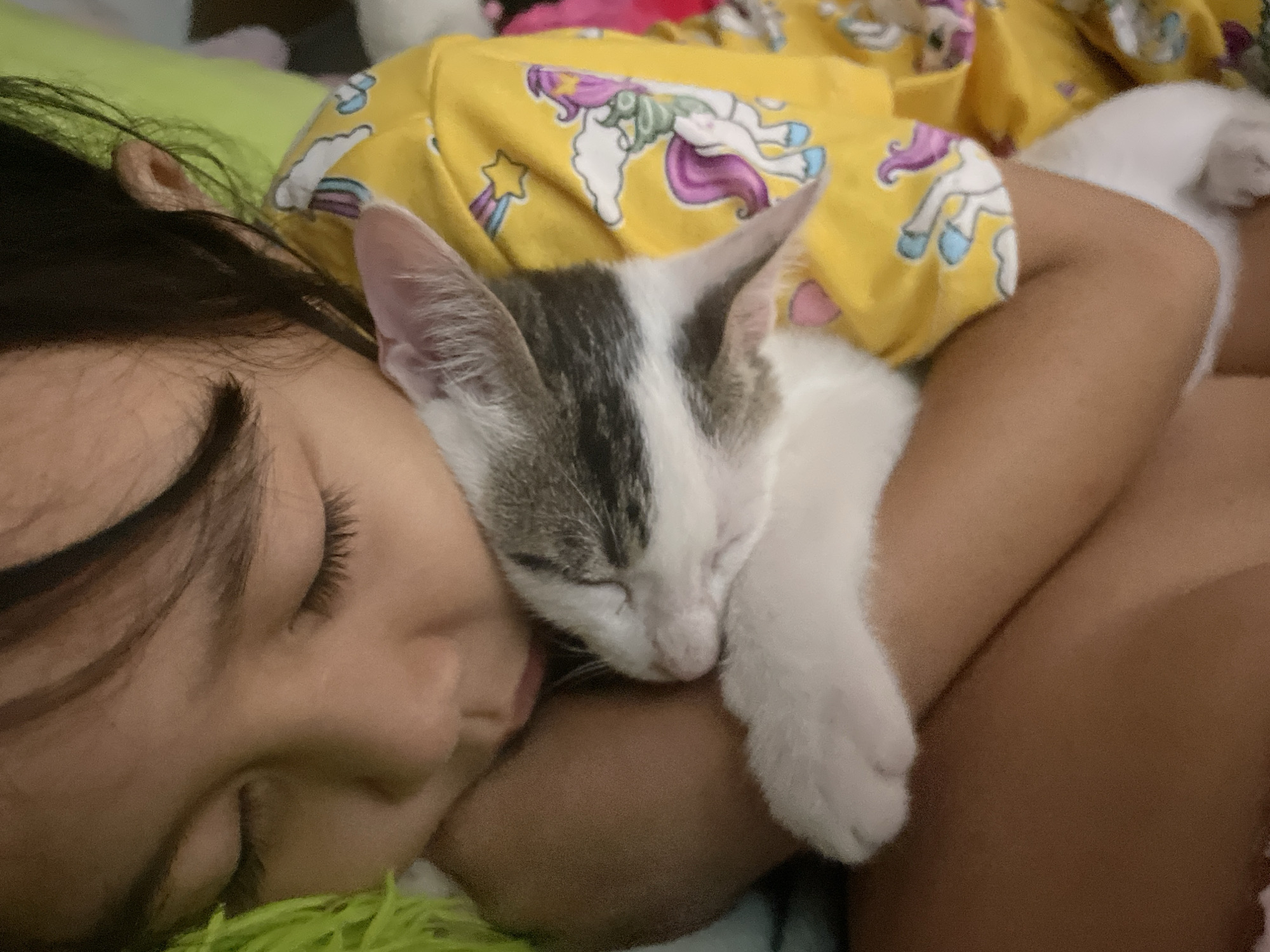Child naps with cat in Davao City bedroom