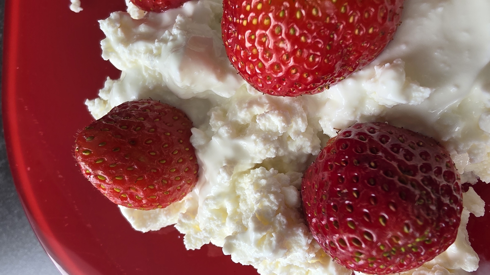 Breakfast Documentation: Cottage Cheese with Strawberries and Cereal Bar