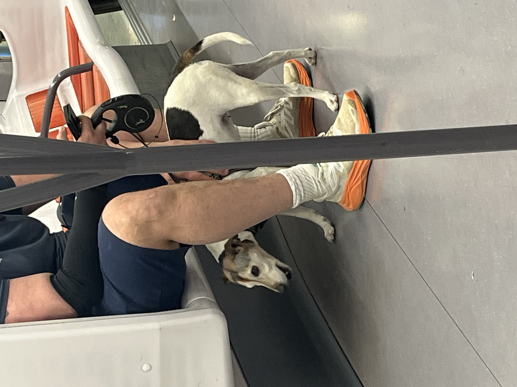 Person with dog spotted in Lyon public waiting area