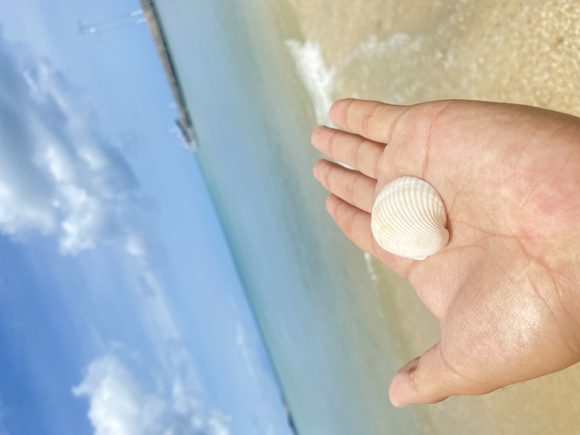Beach day activities documented in Juan Griego, Venezuela