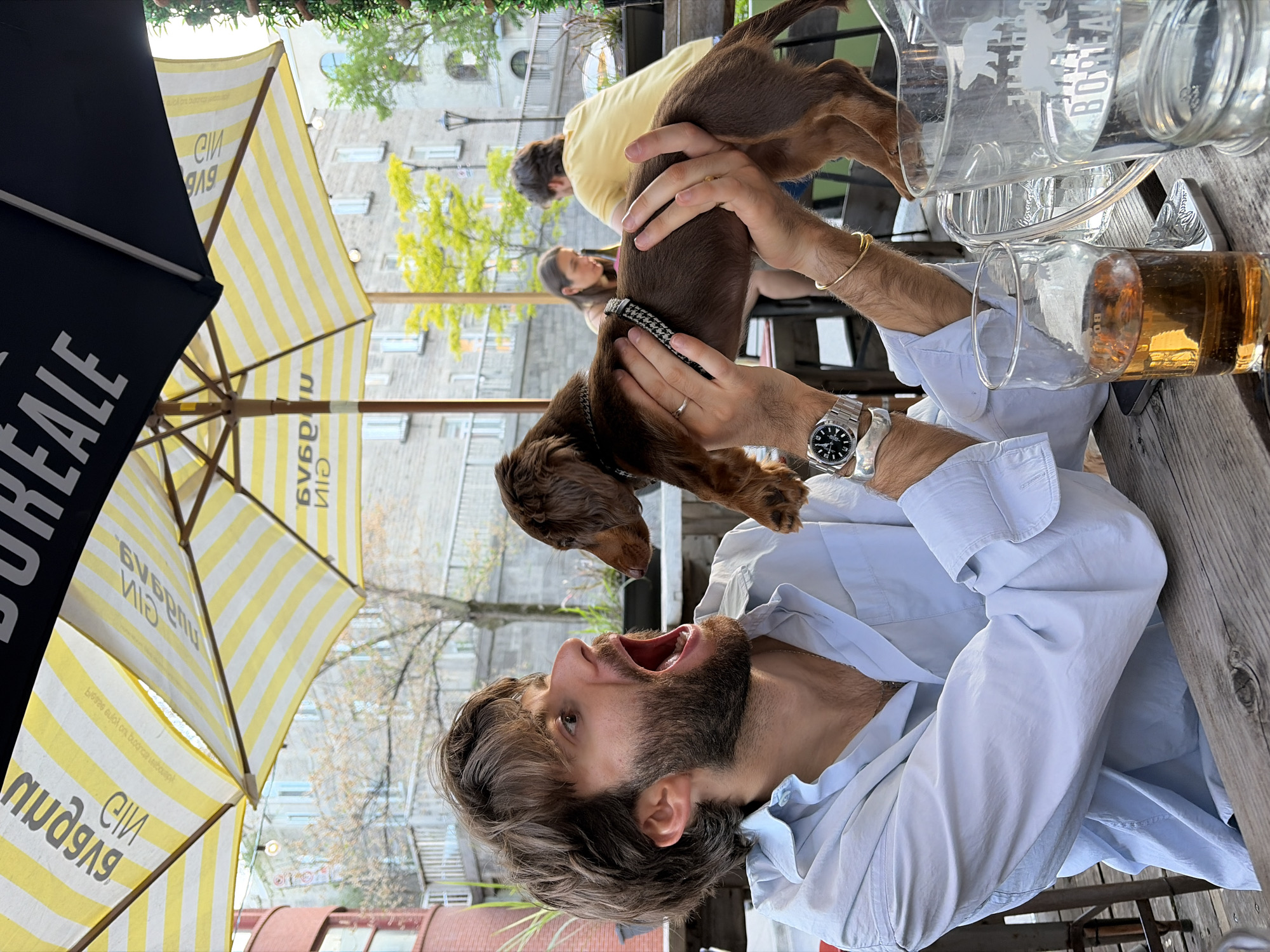 Friends gather with dog on Montreal patio during summer evening