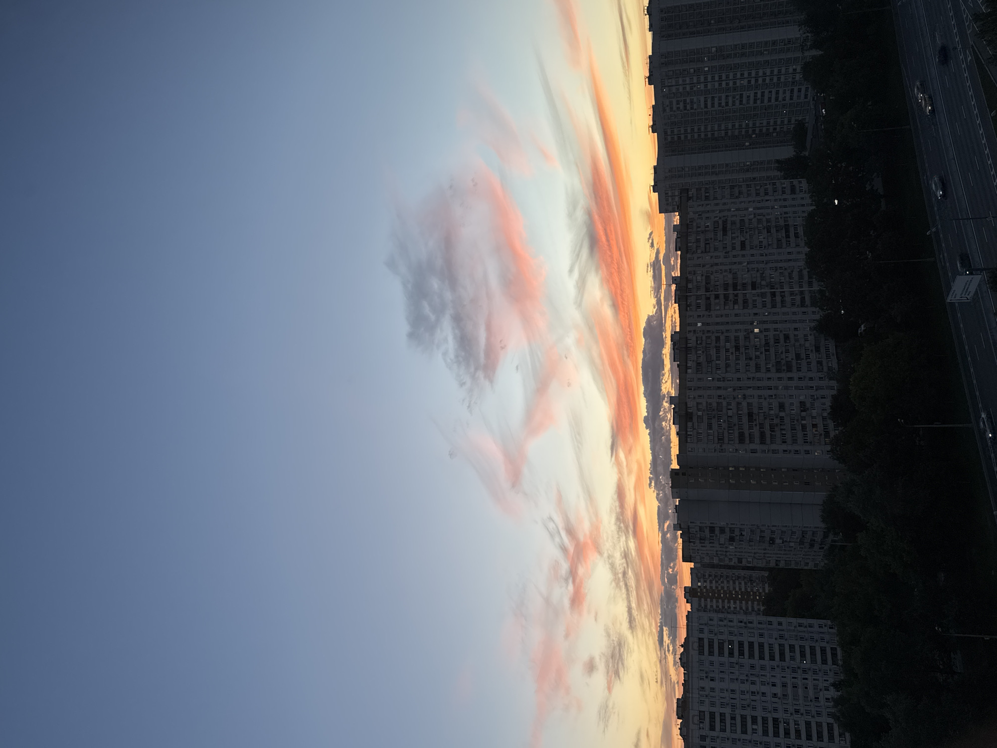 Moscow dusk skyline meets a quiet afternoon with two cats
