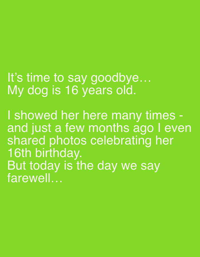 Kyiv resident shares farewell memories of 16-year-old dog