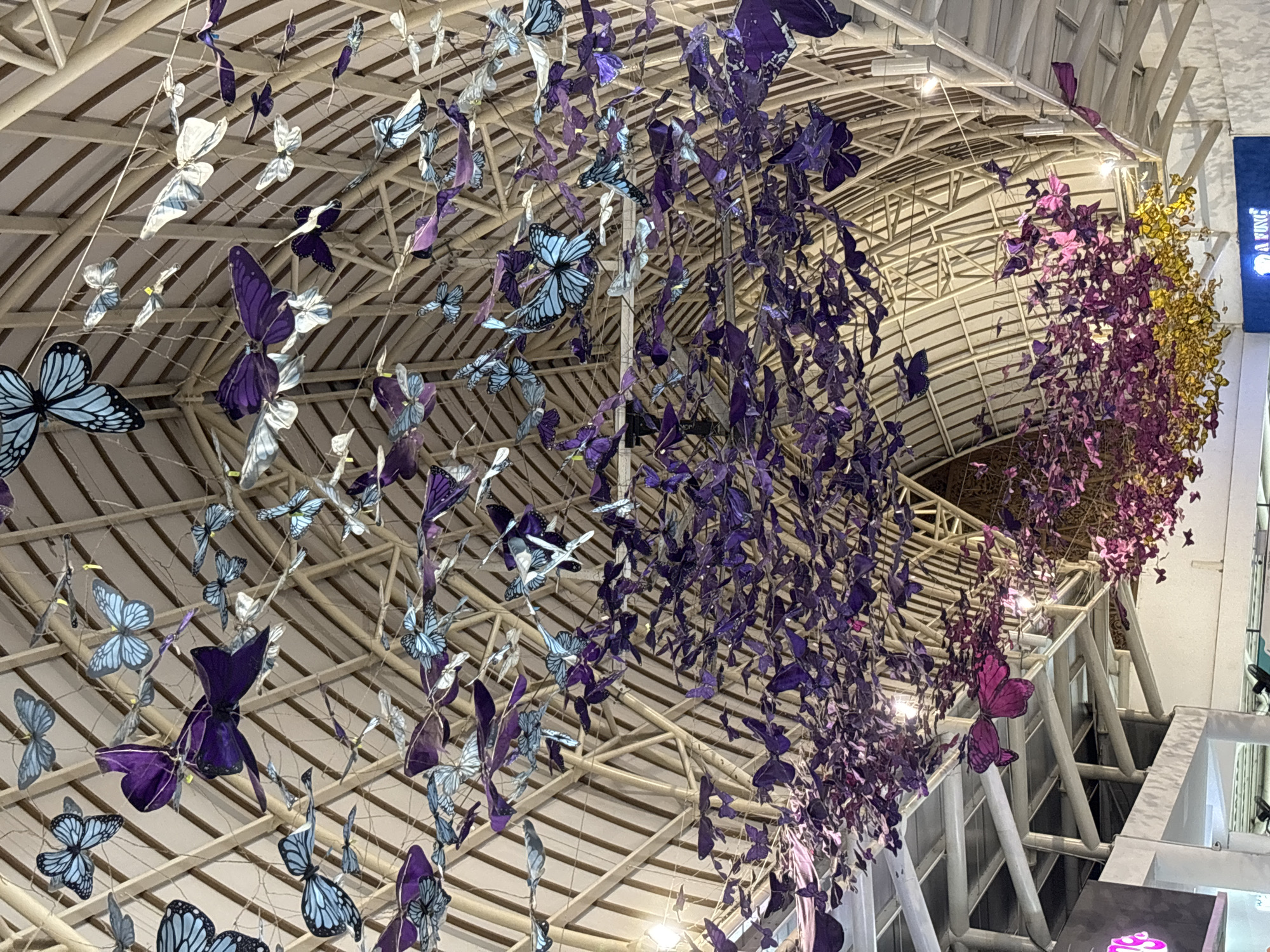 Illuminated BALI displays and butterfly installations documented in Kuta