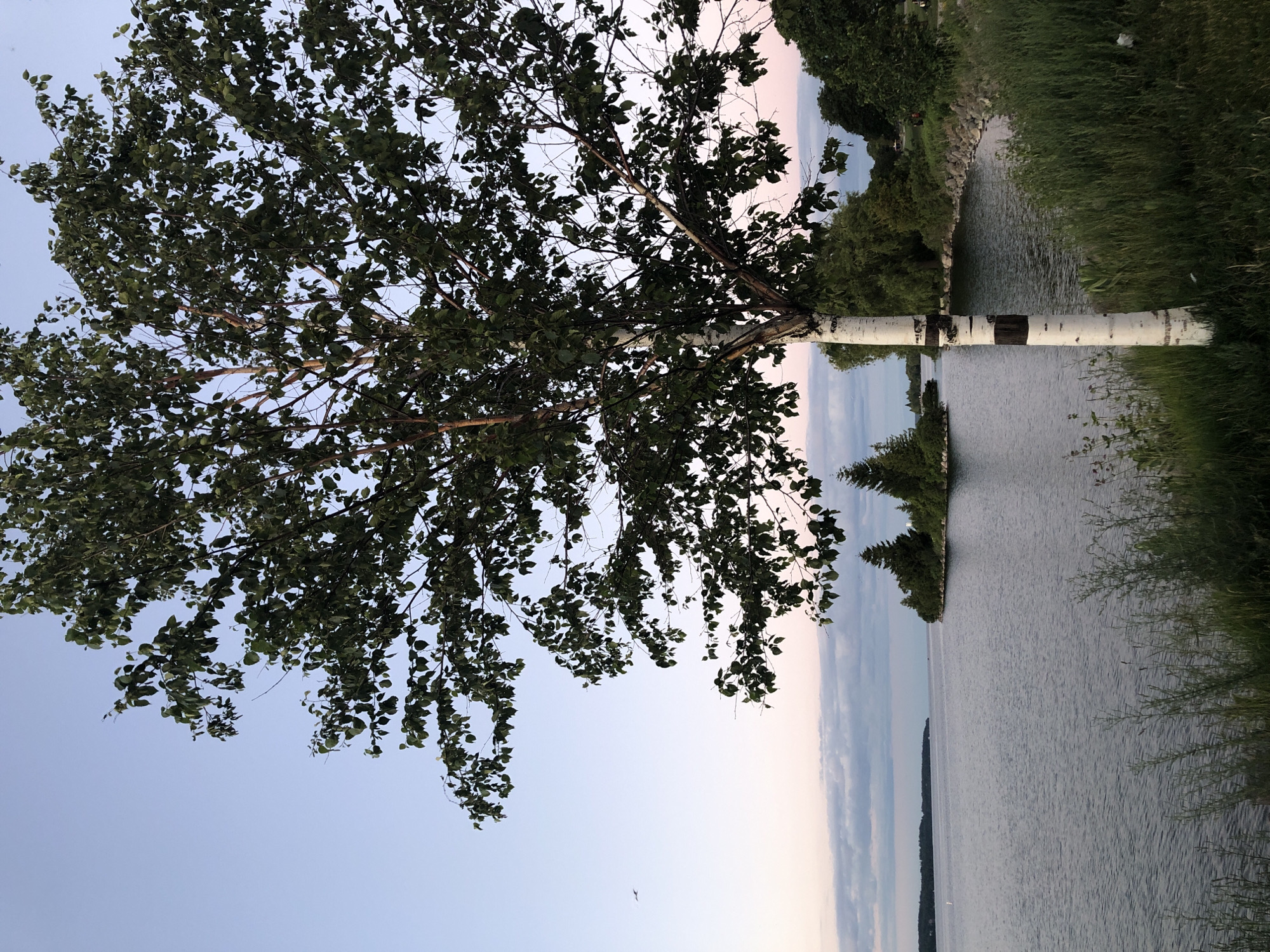 Kempenfelt Bay at golden hour, Barrie