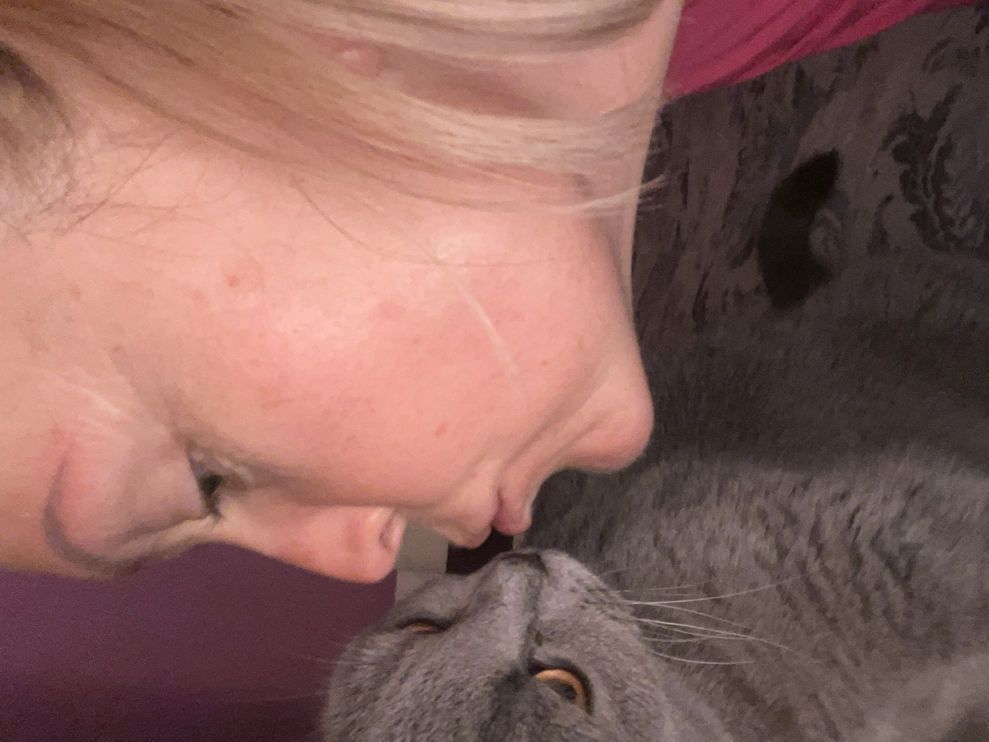 Woman shares tender moment with cat in Alanya