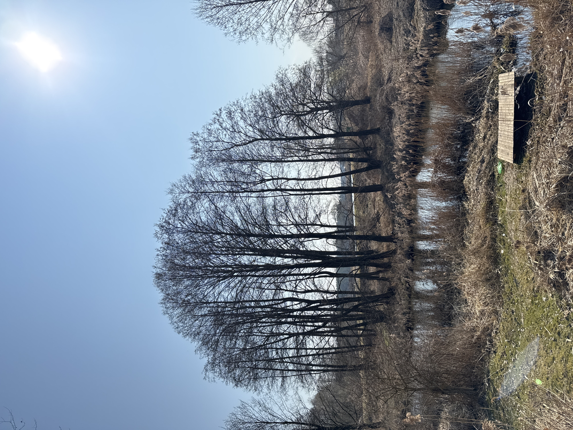 Cyclist crosses bridges over Belarus watercourse on sunny morning