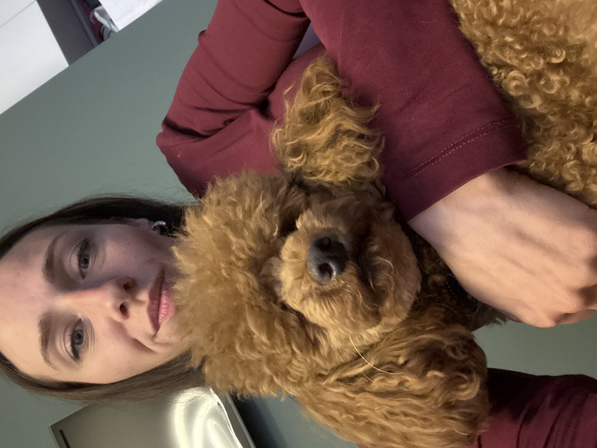 Woman plays with poodle during fruit snack in Saint Petersburg