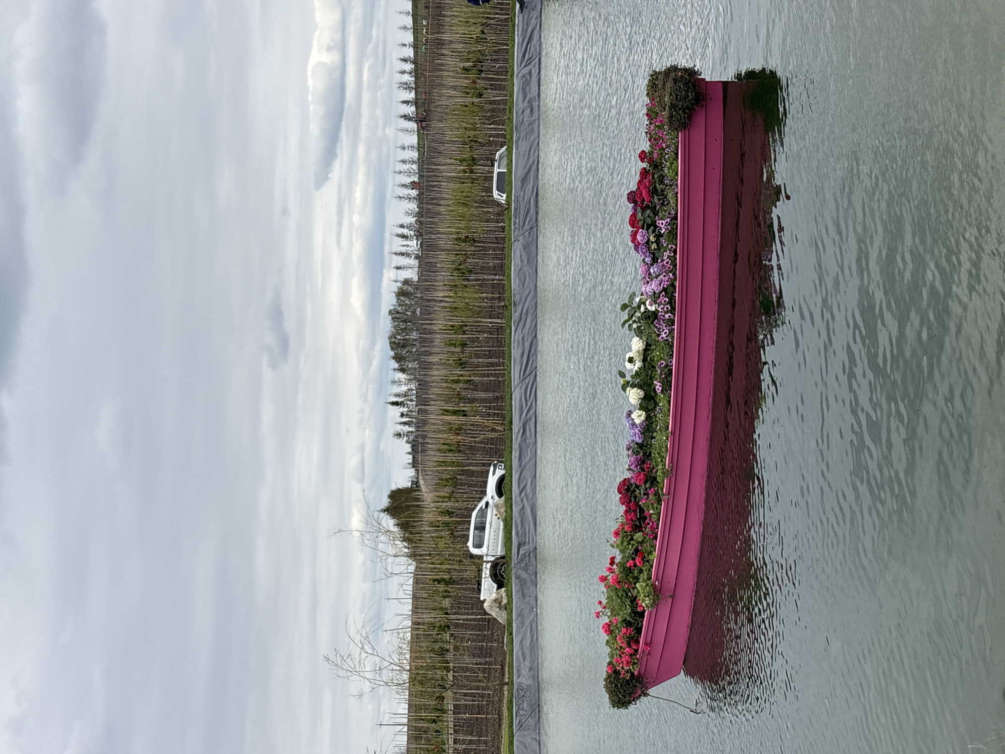 Flower-filled pink boat spotted floating in Ukrainian waters