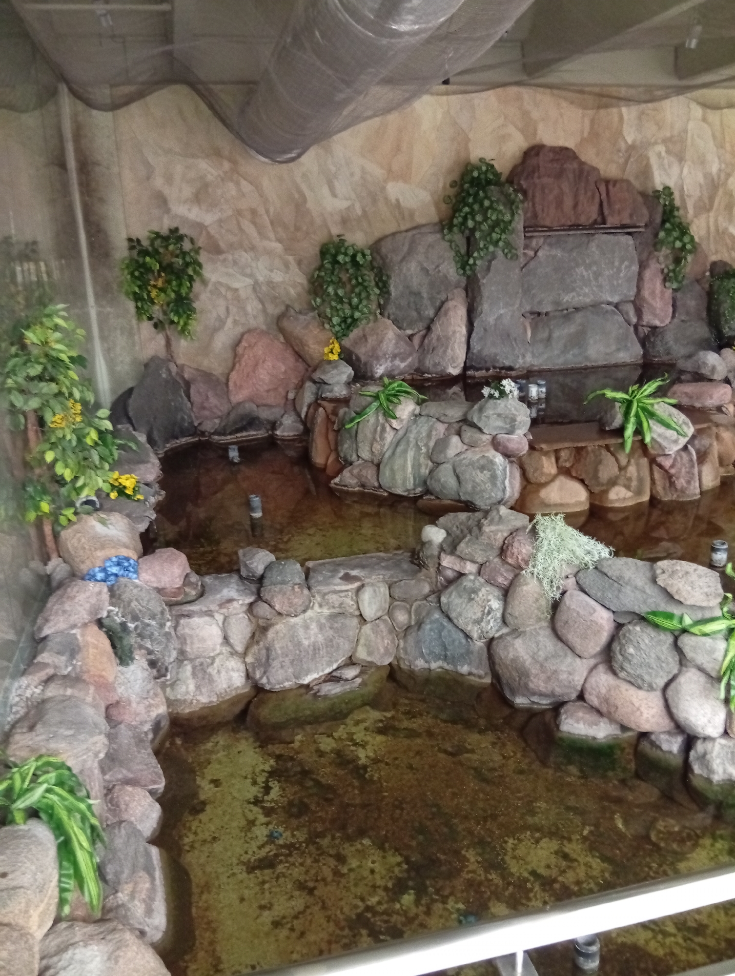 Indoor mall visit with decorative waterfalls in Šiauliai