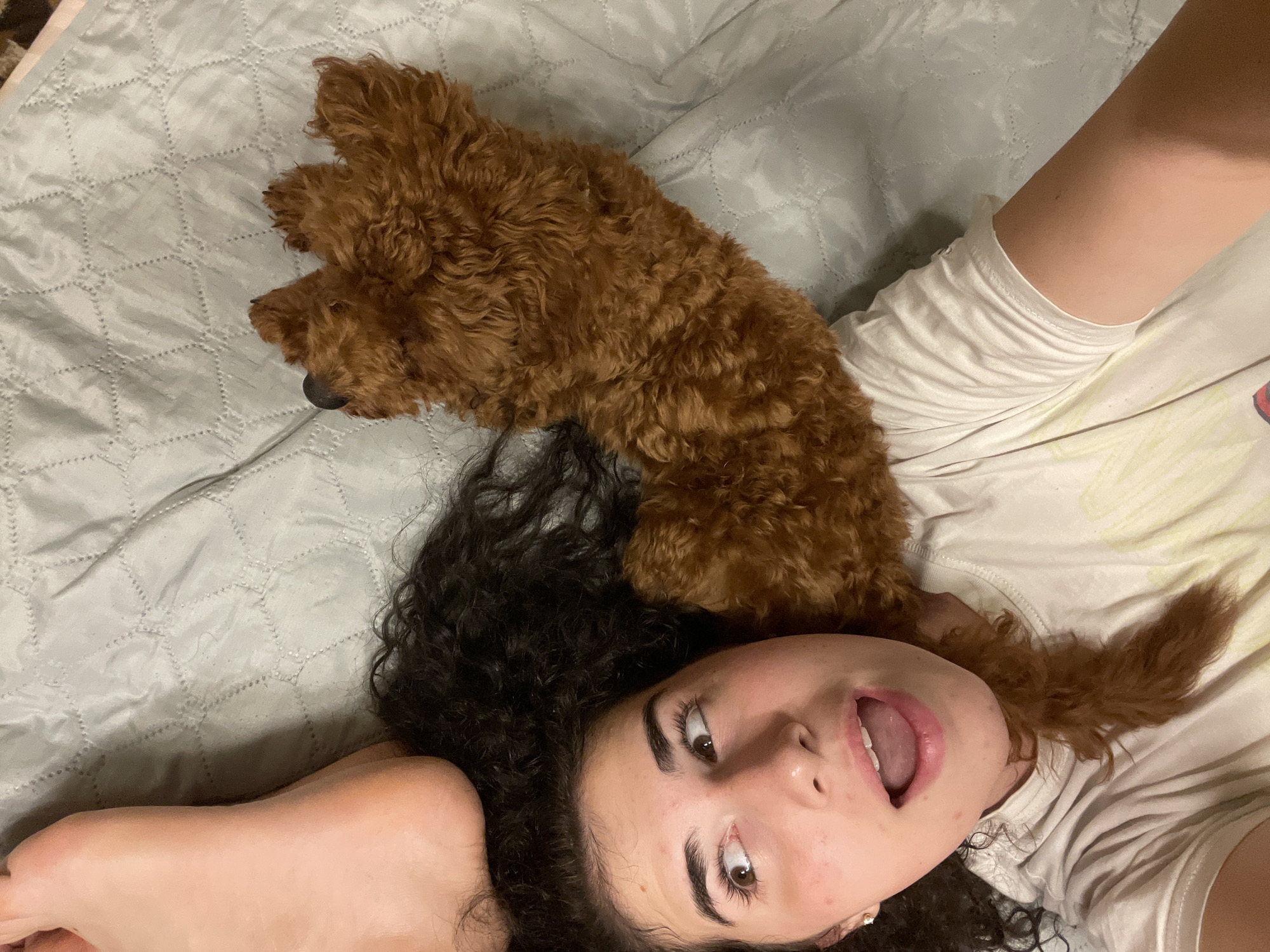 Woman enjoys evening skincare routine with poodle puppy in Sofia