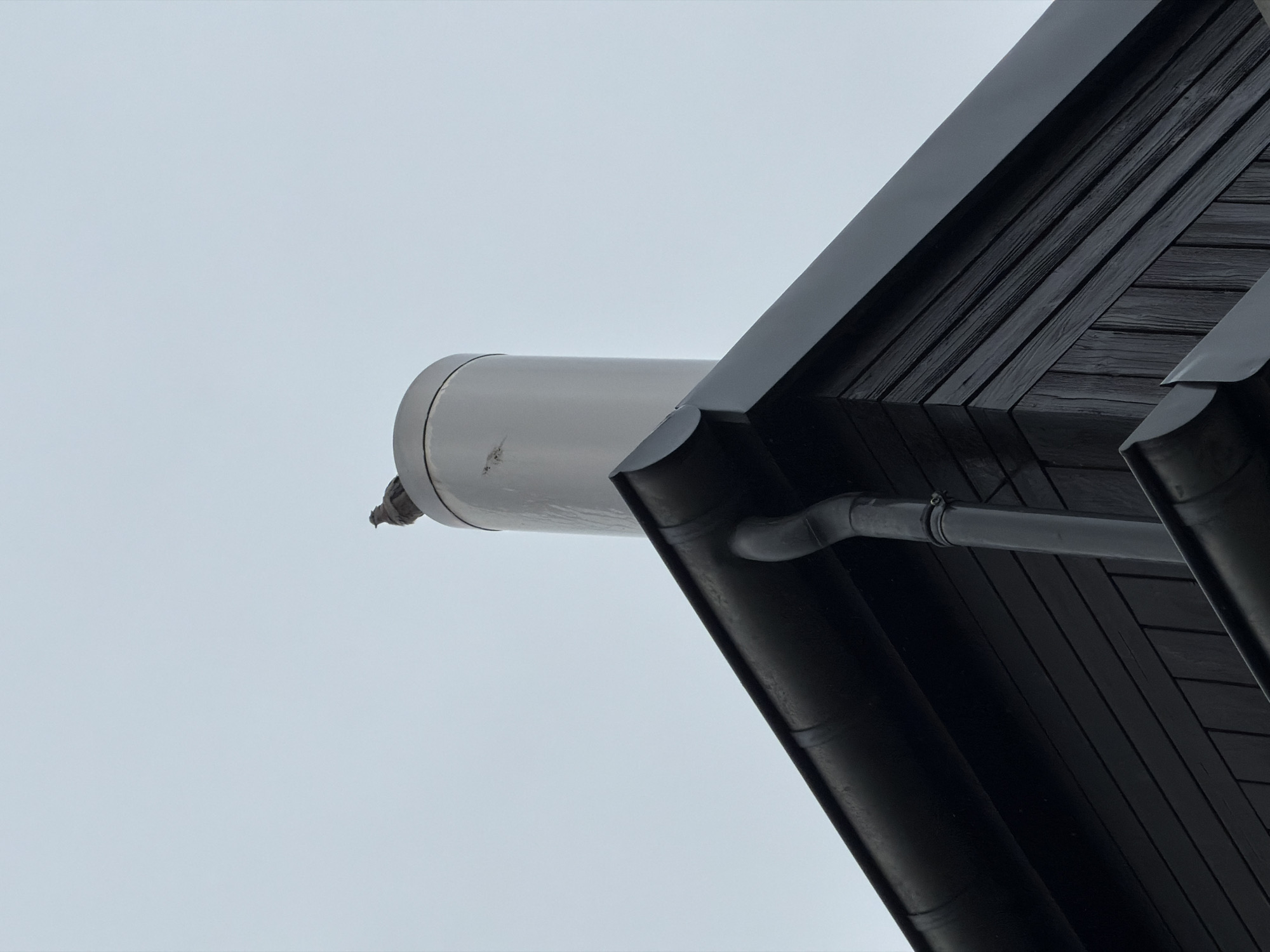Morning observations recorded in Esch-sur-Alzette show quiet urban moments