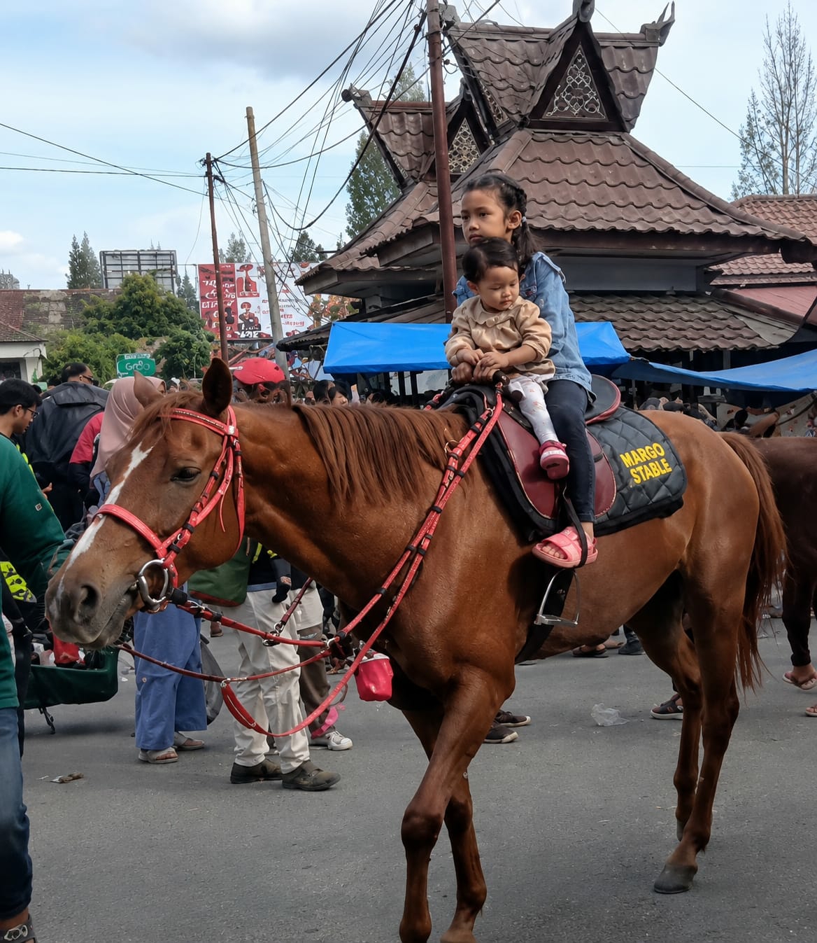Saddled horse at a busy Berastagi marketplace street