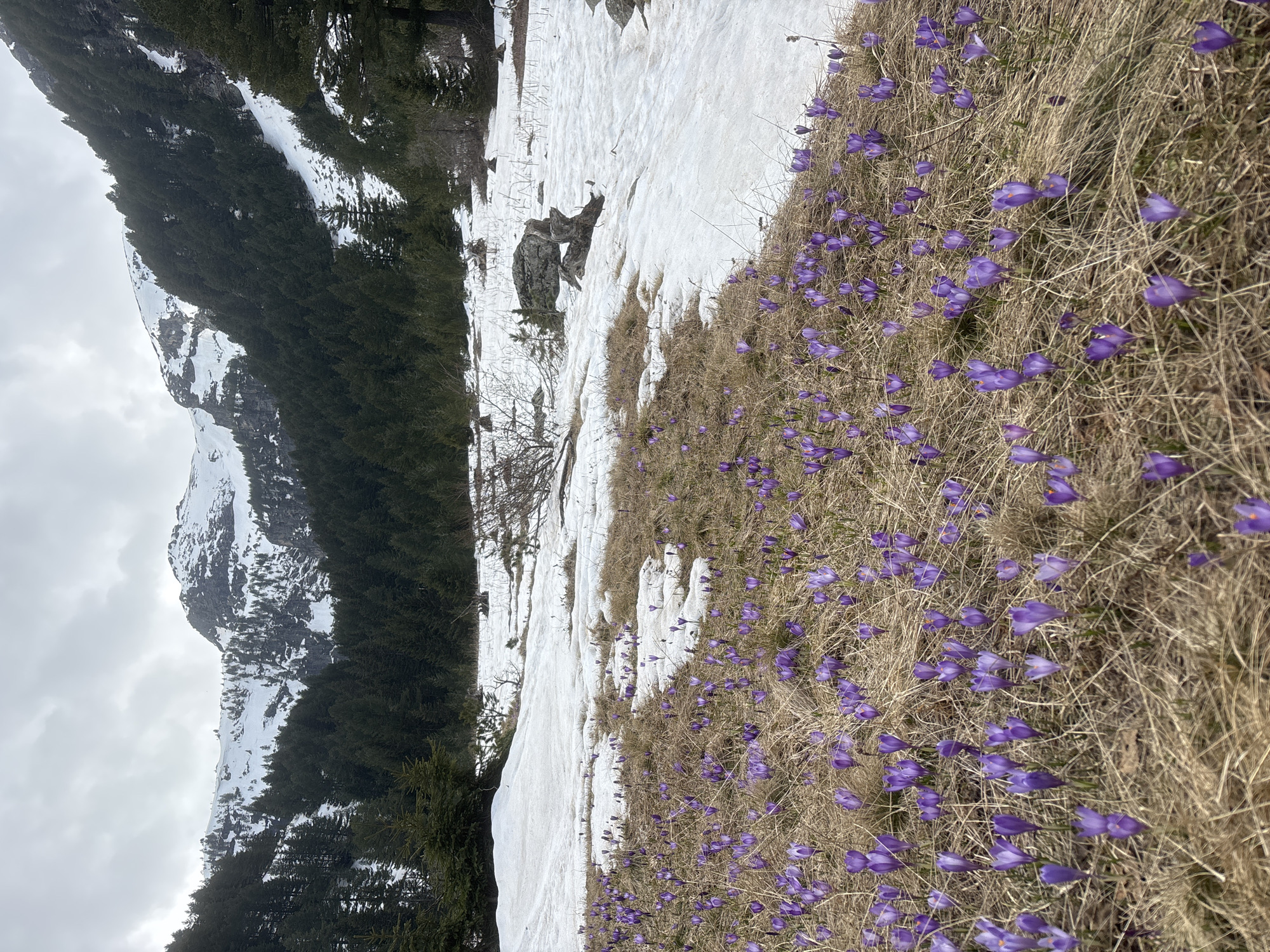Woman takes outdoor selfie in Bulgarian mountains