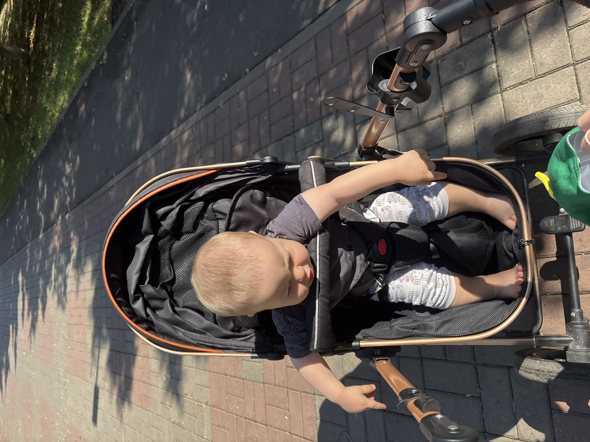 Sunny stroll through Naberezhnye Chelny with hollyhocks in bloom