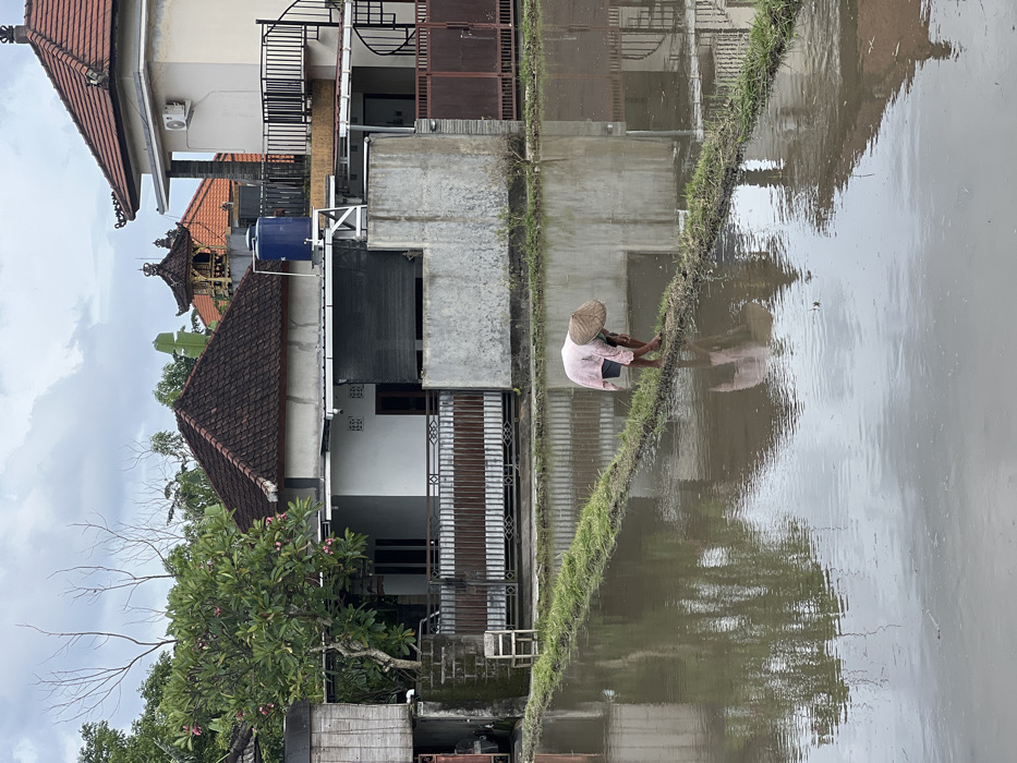 Morning life captured across rural Bali villages and paddies