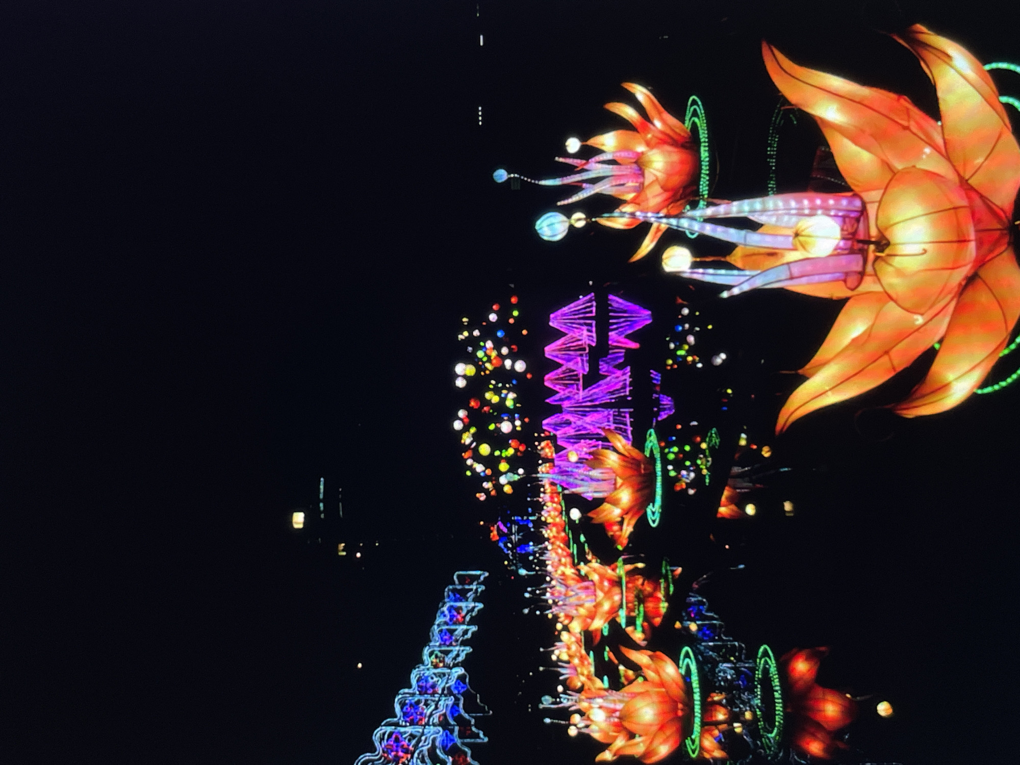 Nighttime Chinese lantern festival displays observed with dragon decorations