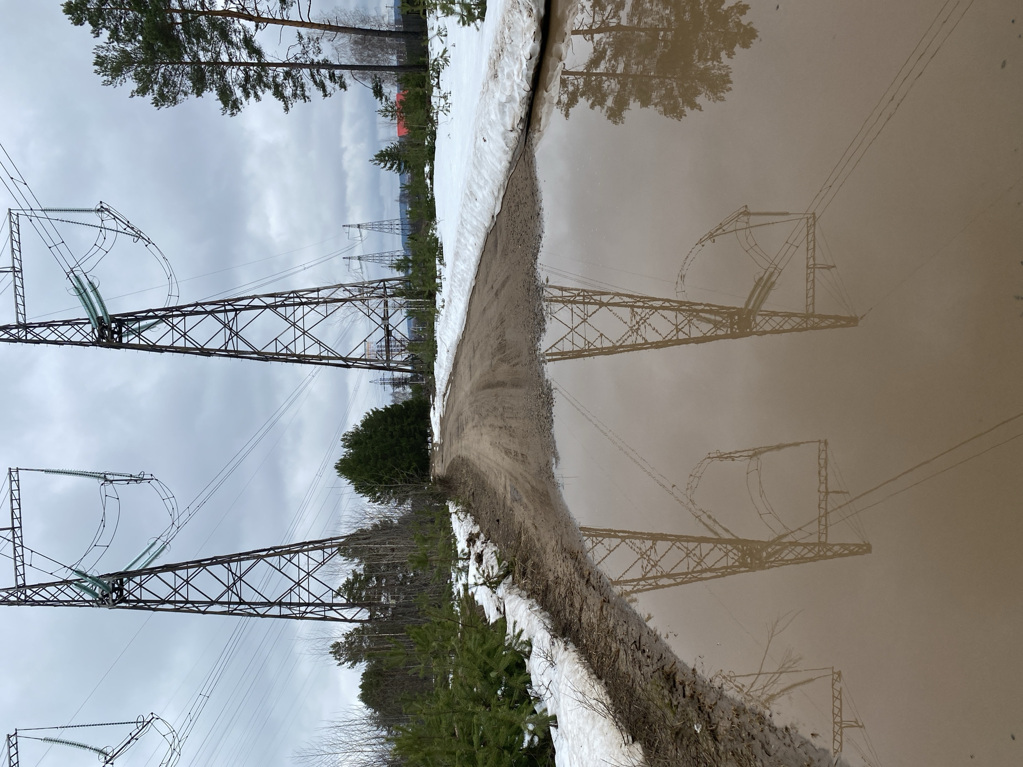 Morning documentation of rural life scenes in Noviy, Russia