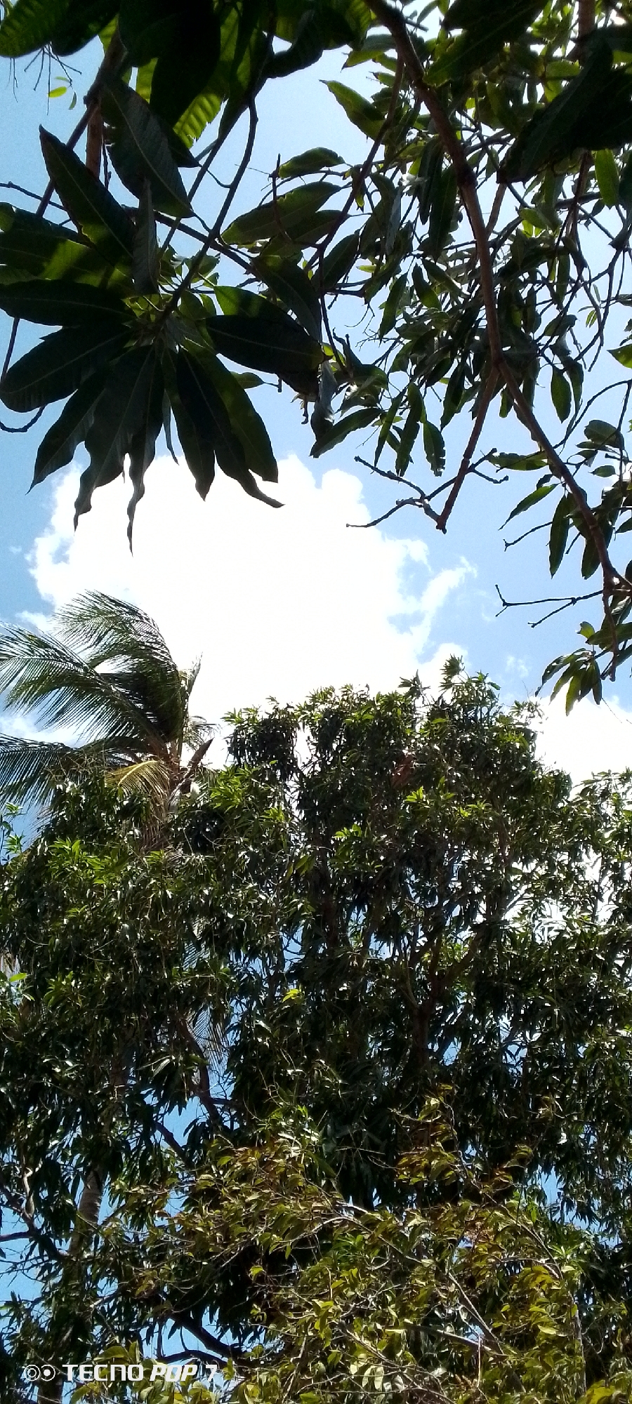 Afternoon sky documented through security walls in Altagracia, Venezuela