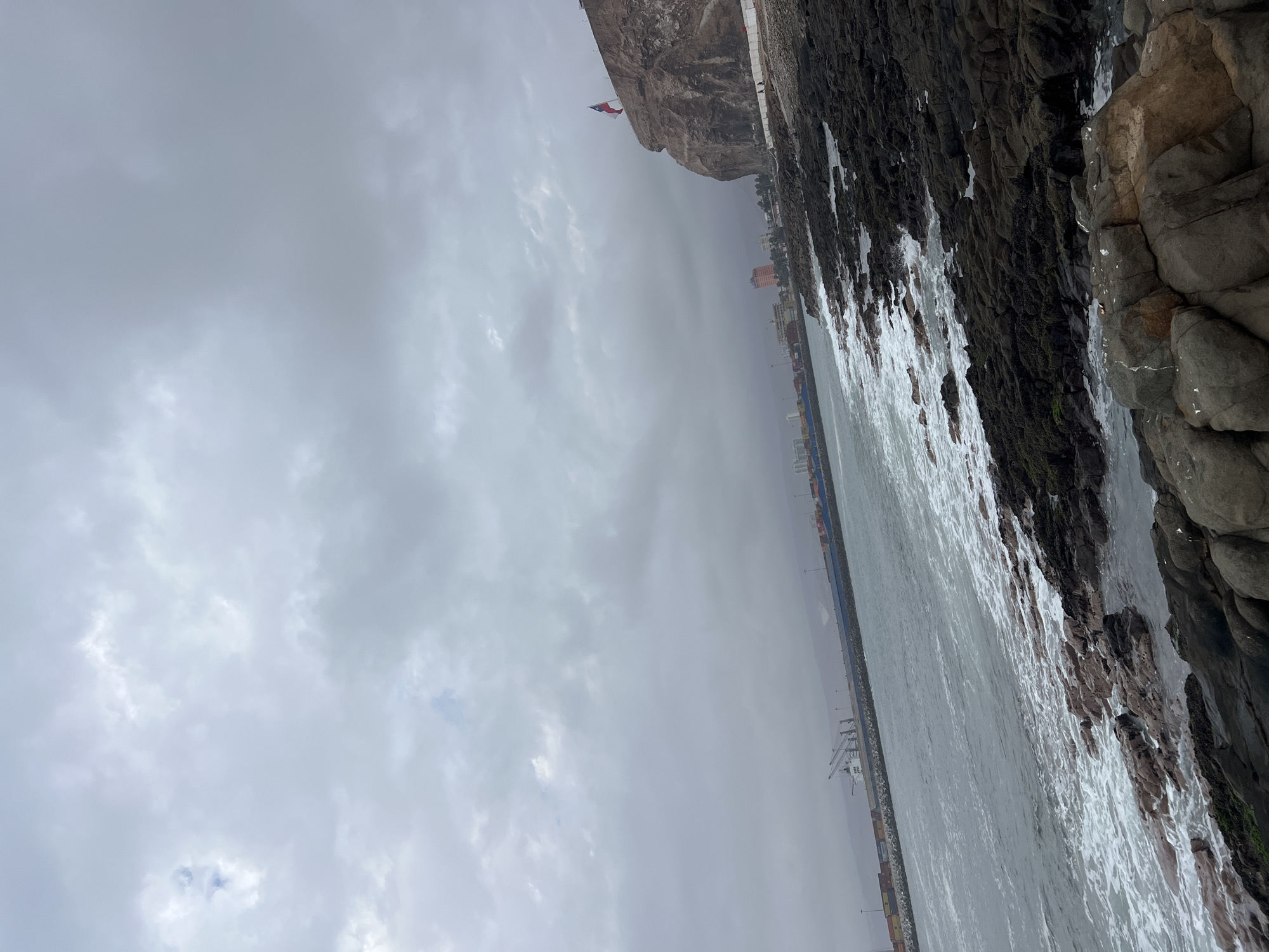 Arica's rocky coast explored — birds, lobsters, and cargo ships