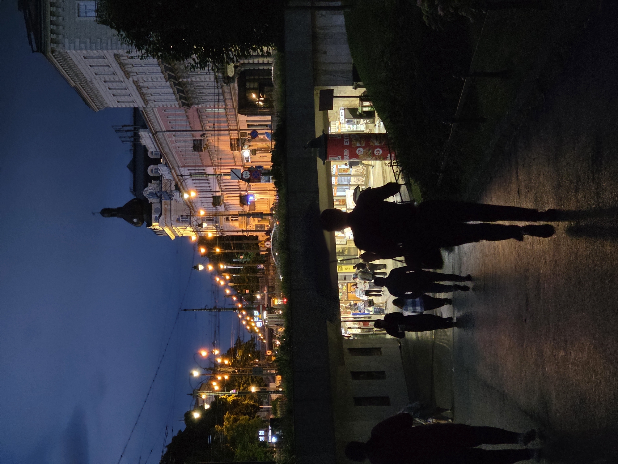 Evening stroll through historic Krakow with trams and cats