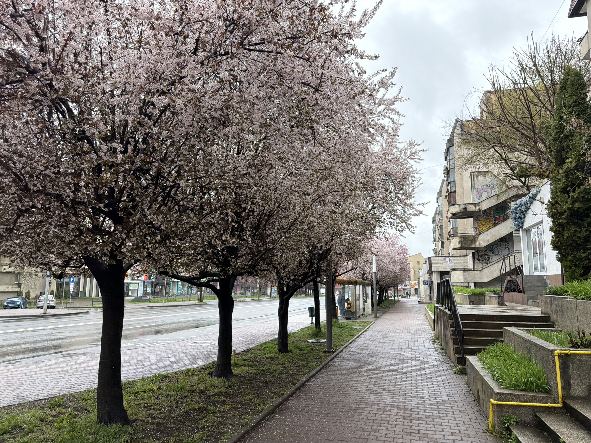 Spring street scenes captured across Târgu Mureș, Romania
