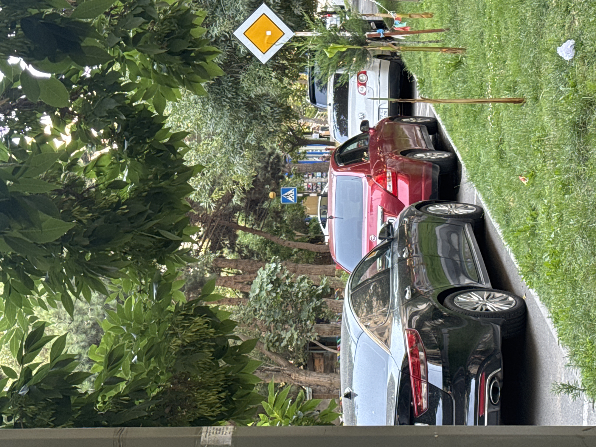 Parked cars line a grassy street verge in Baku