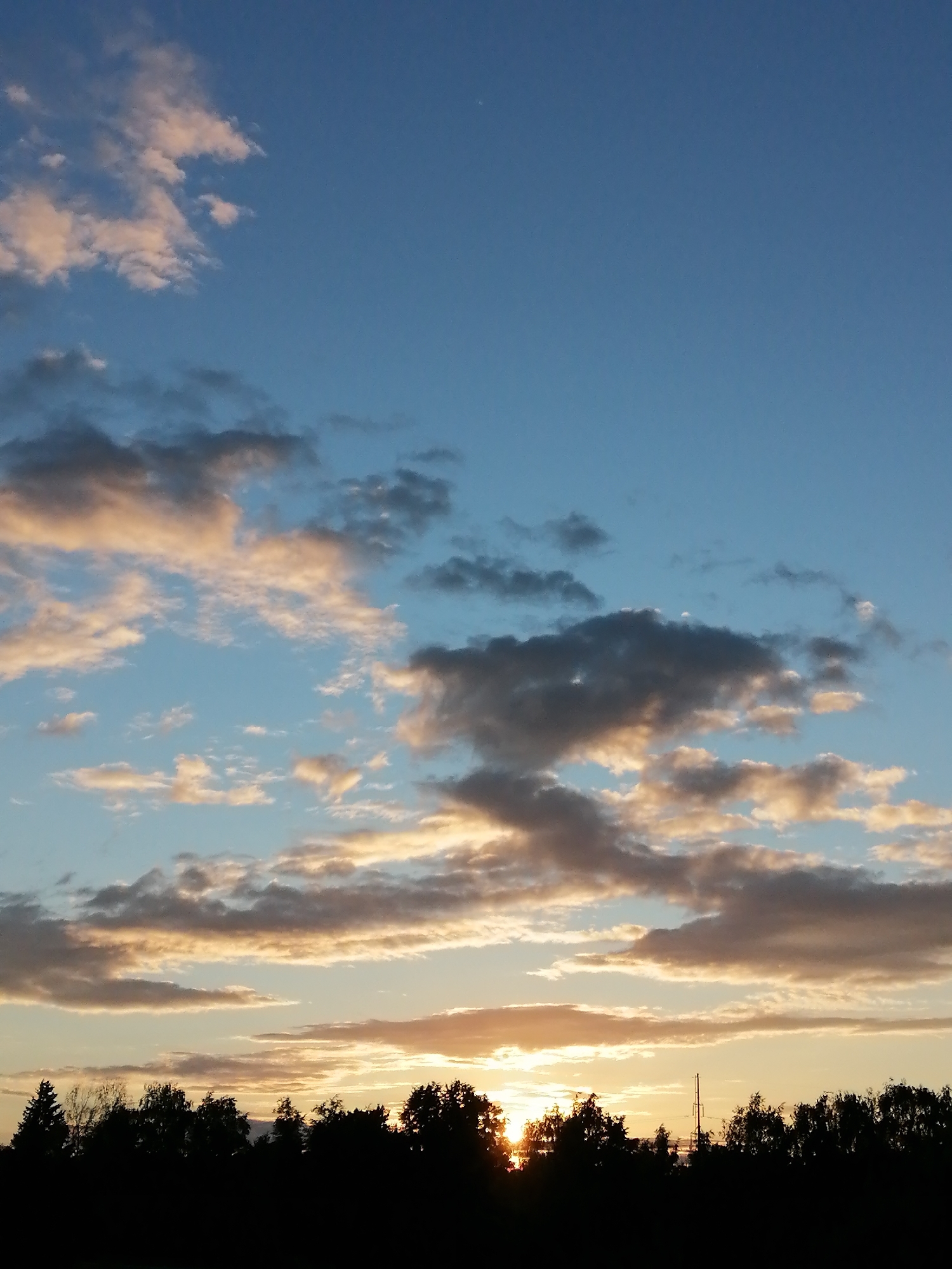 Sunset over a residential treeline, crescent moon emerging