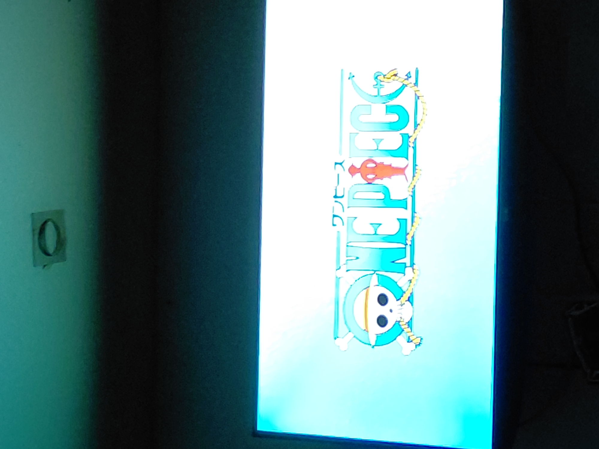Person watches One Piece anime with cat in Venezuelan home