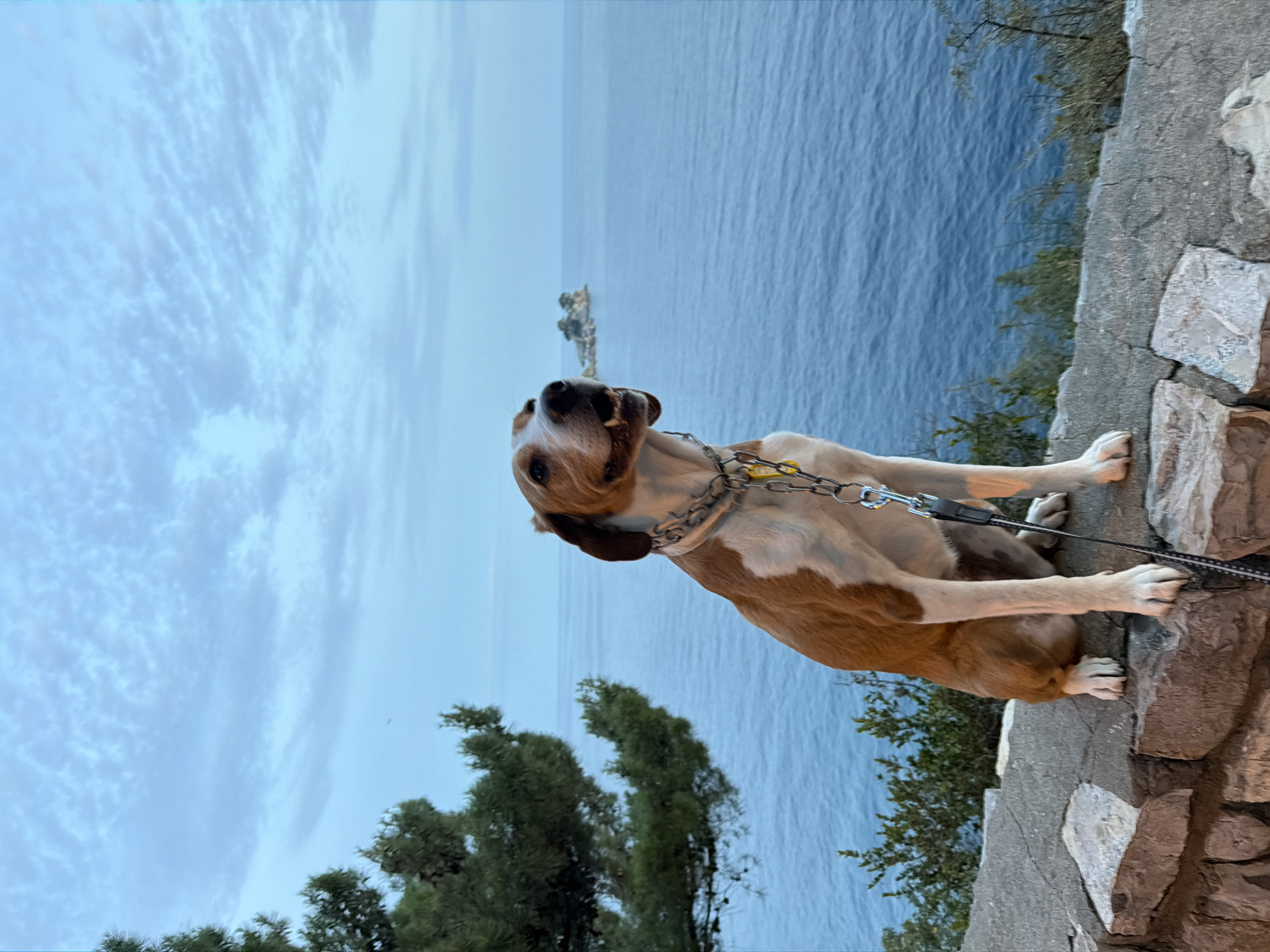 Man documents afternoon with selfies around Petrovac, Montenegro