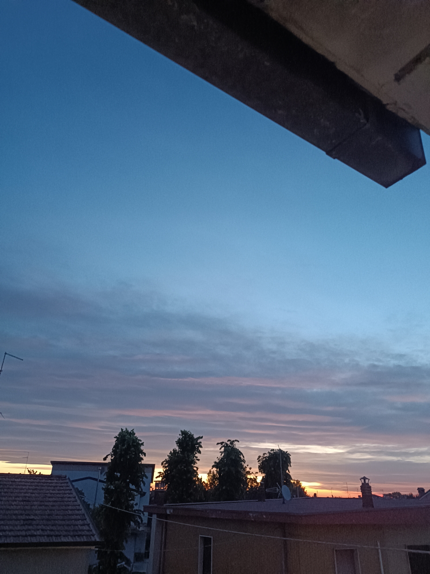 Dawn Documentation: Cats, Art, and Sunsets in Viadana
