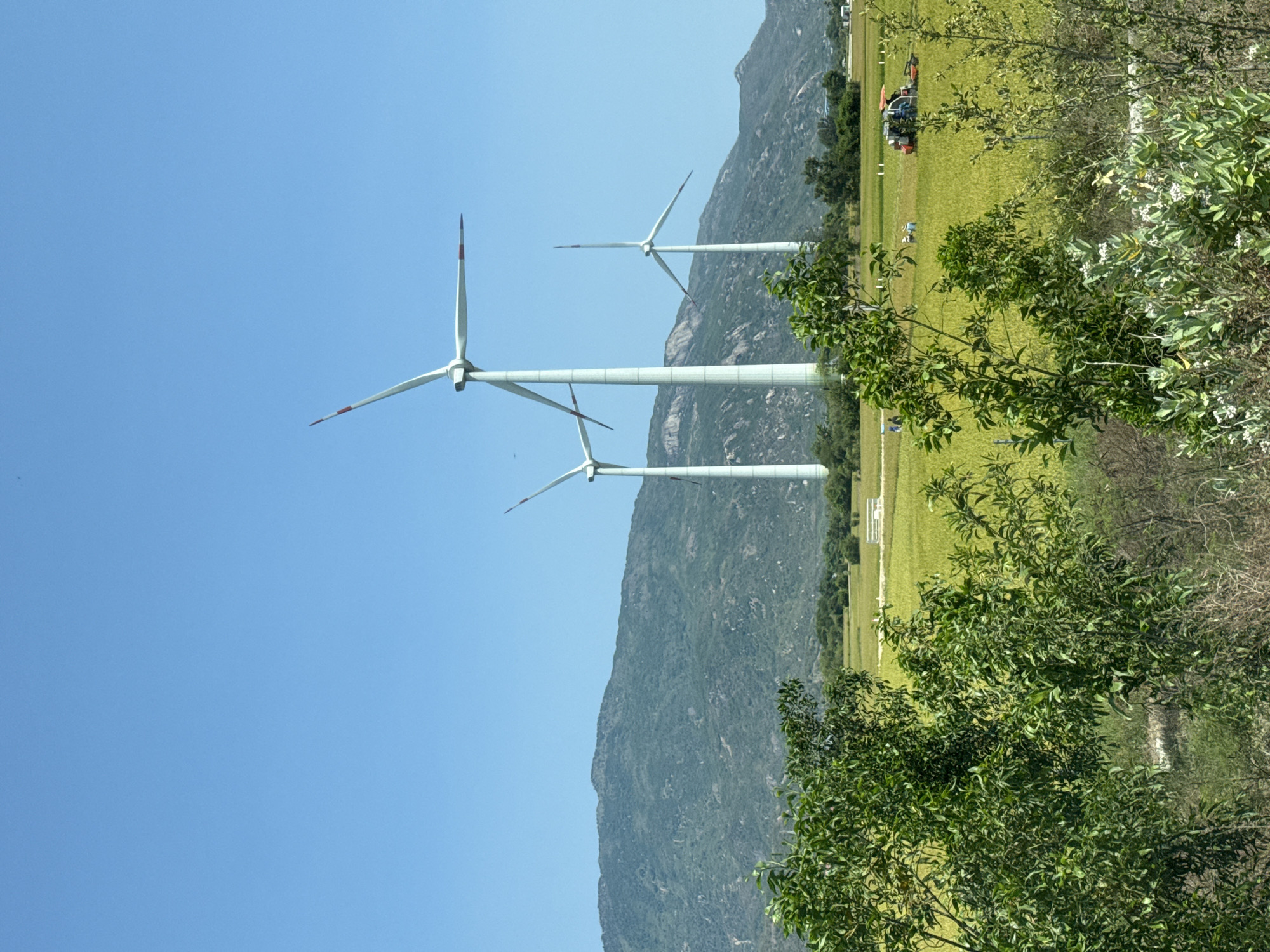 Wind farm documented in Thuan Bac, Vietnam morning