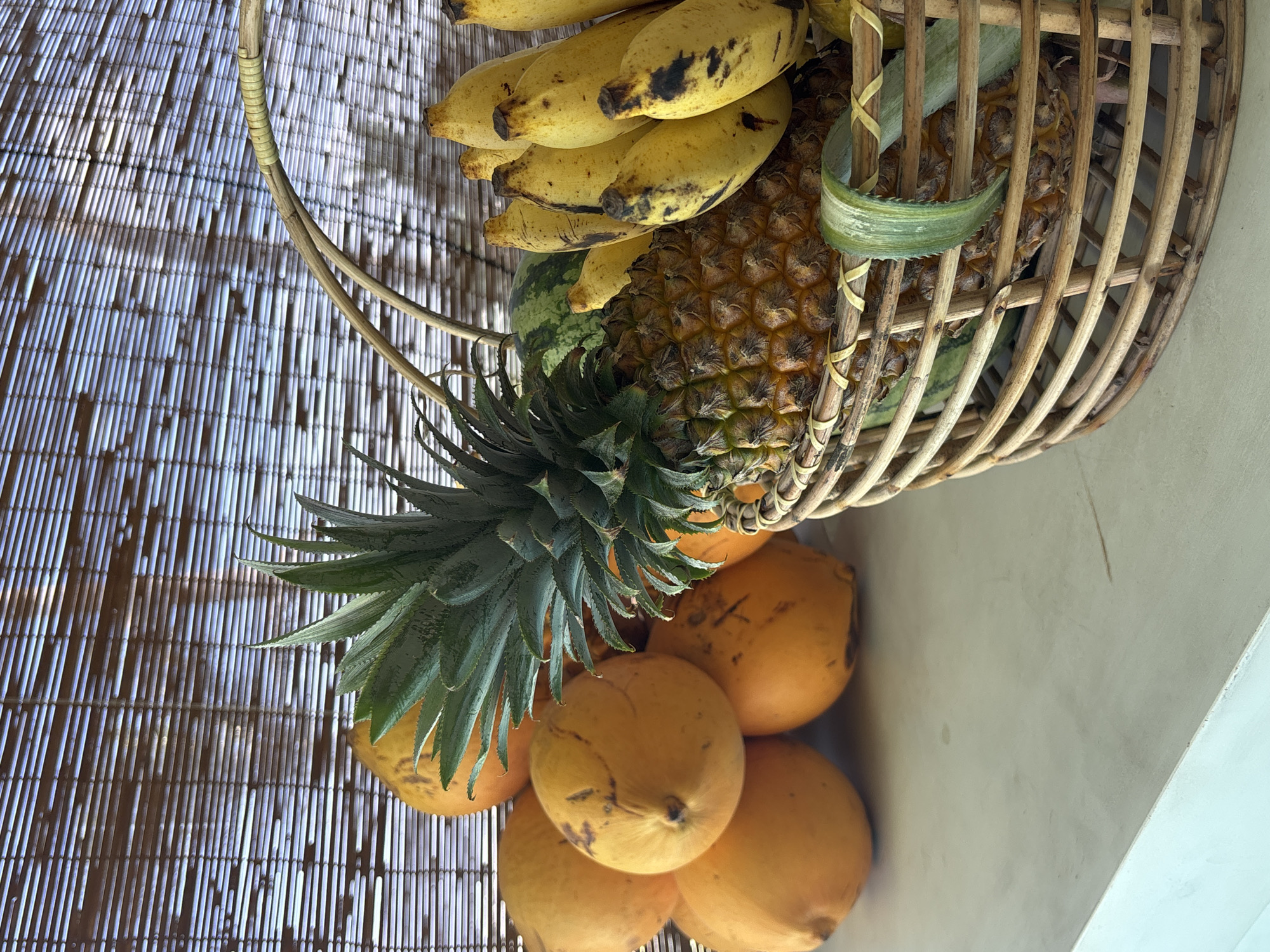 Morning scenes captured at tropical resort in Midigama, Sri Lanka