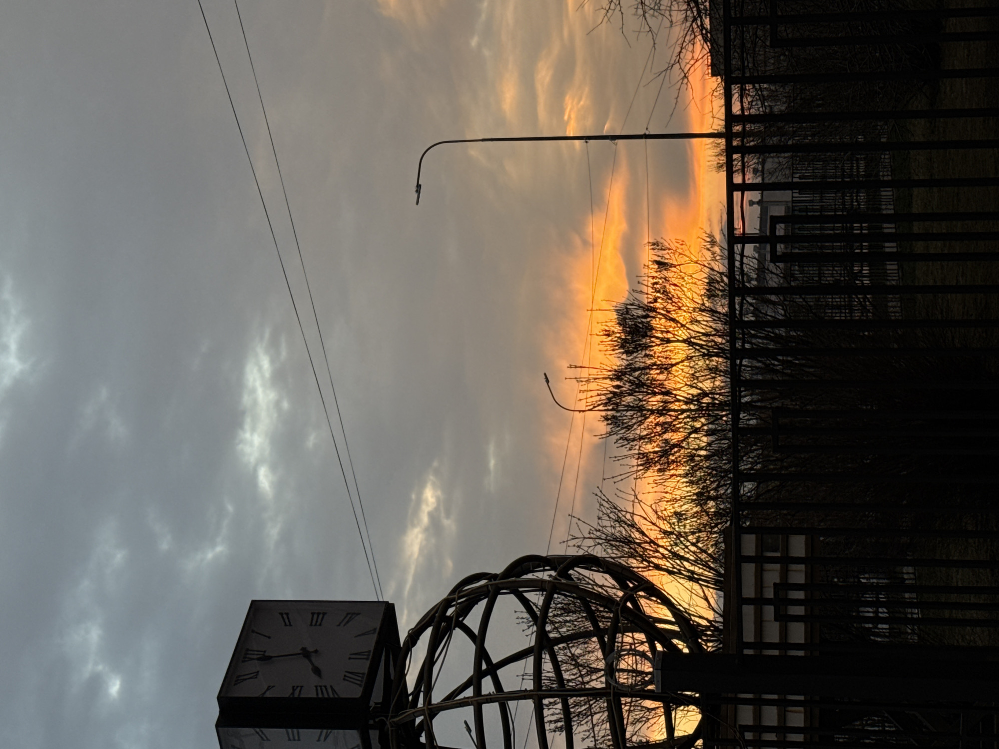 Everyday moments with cats and people captured in Chaikovsky