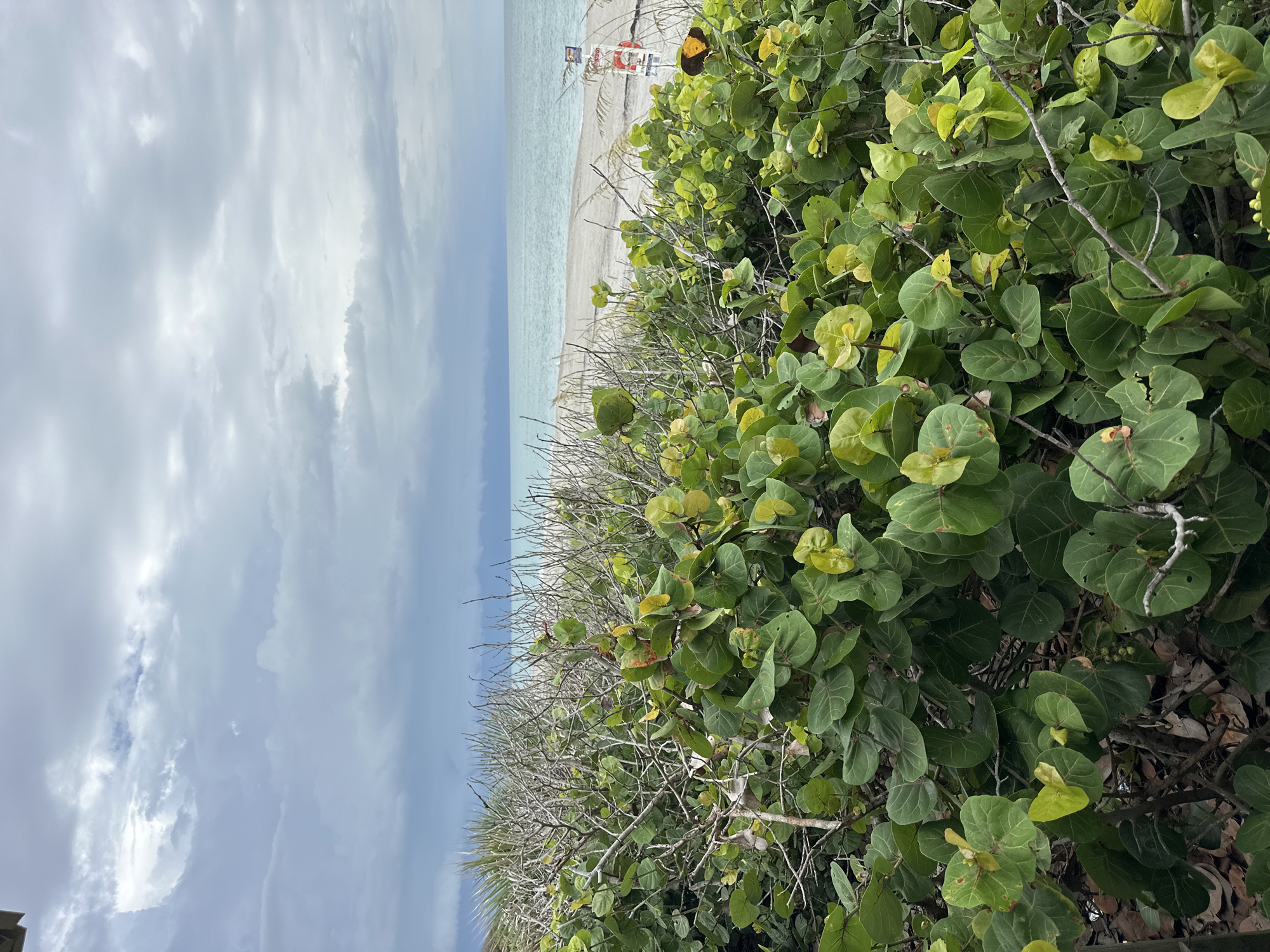 Melbourne Beach, United States of America
