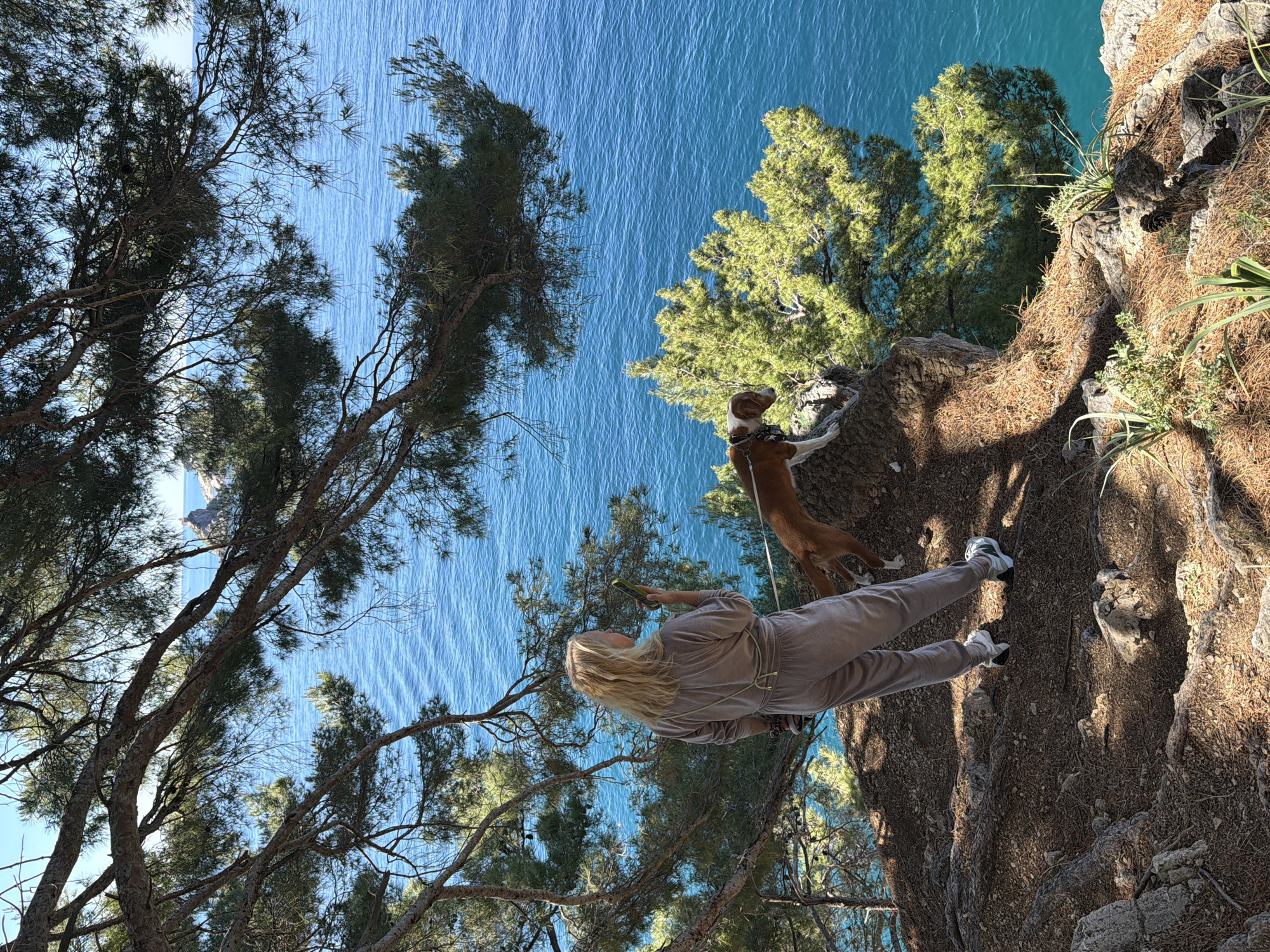Woman walks dogs on Montenegro cliff overlooking sea
