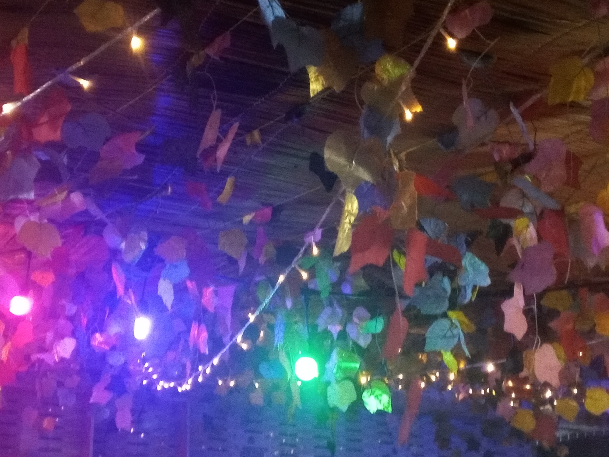 Live music performance staged with decorative lighting Sunday evening