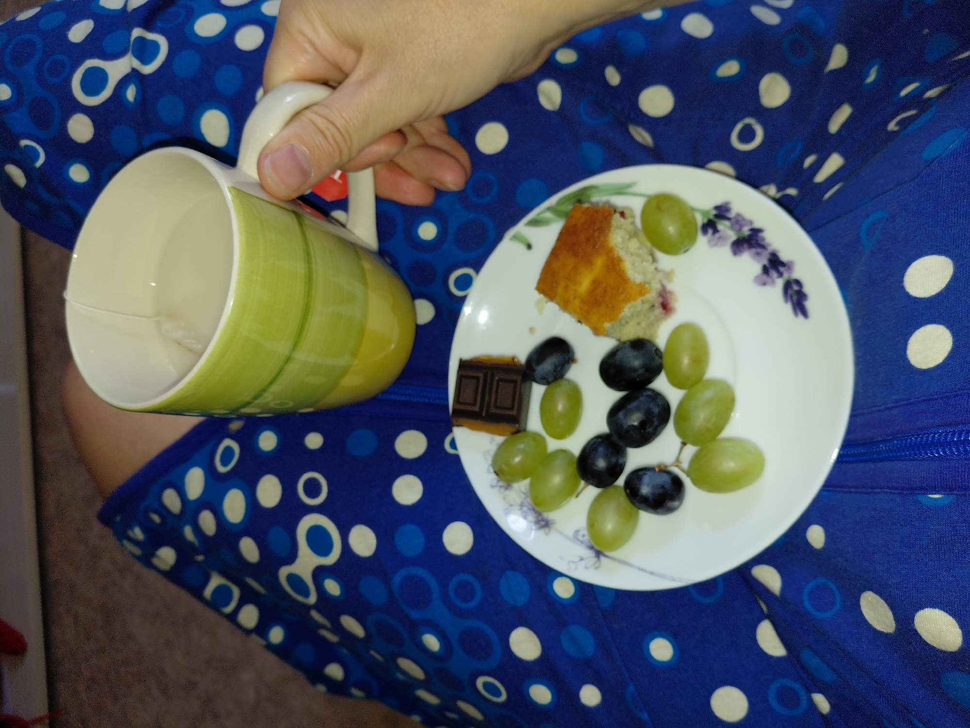 Lazy morning snacks and a resting dog in Novosibirsk