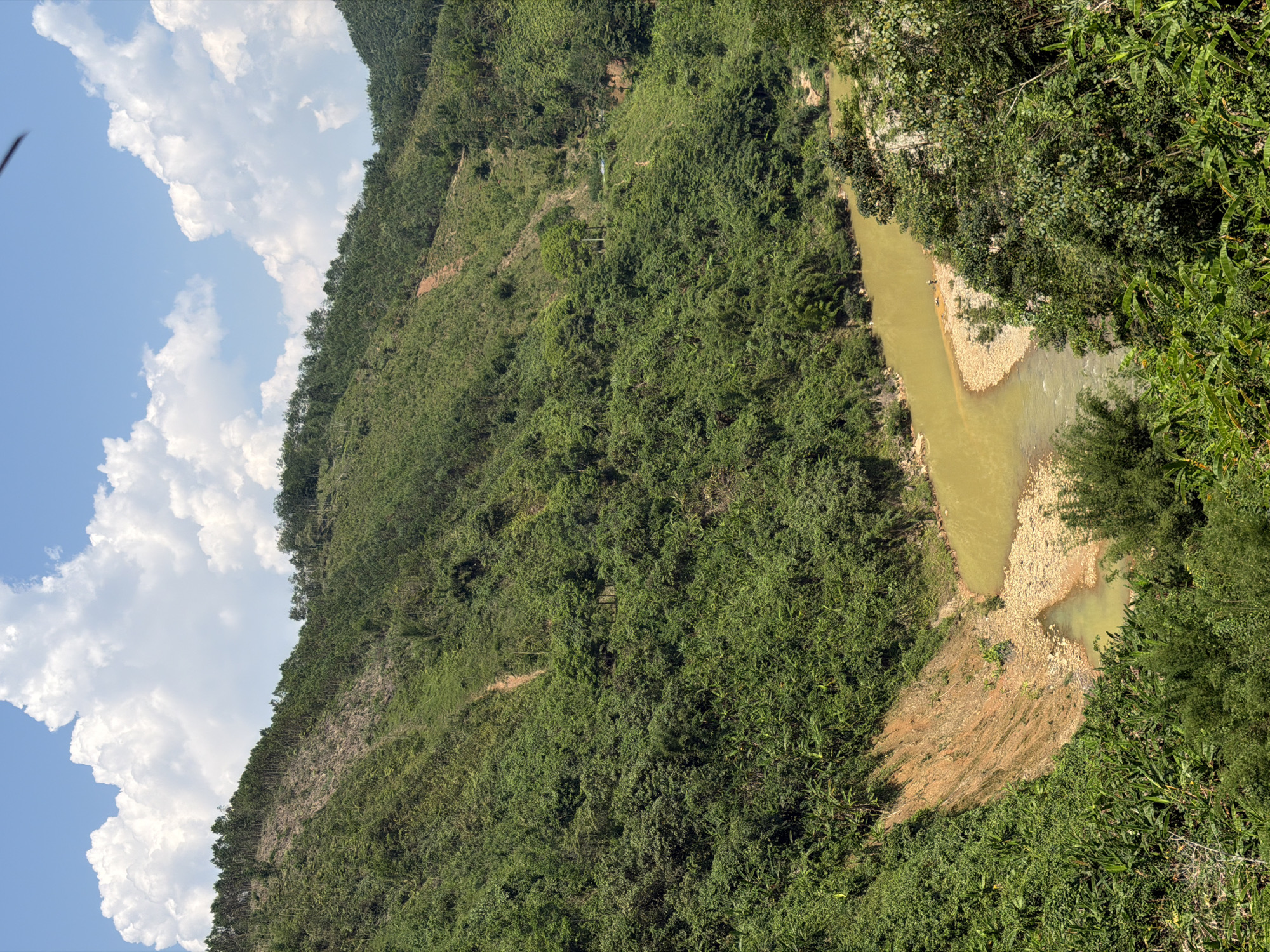 Riverside gathering documented along muddy waterway in Đà Nẵng