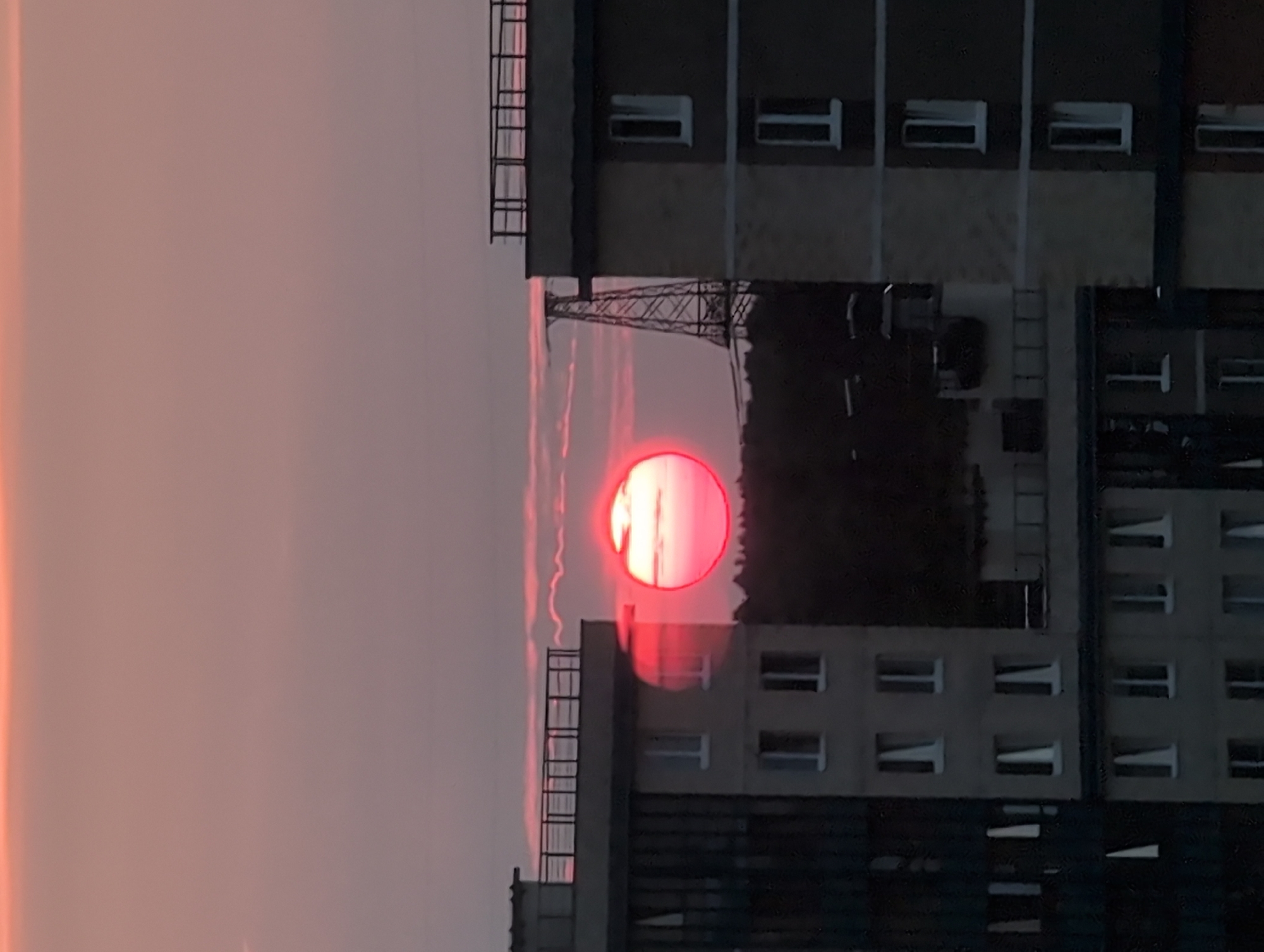 Saint Petersburg sunset and a quiet evening with home aquariums