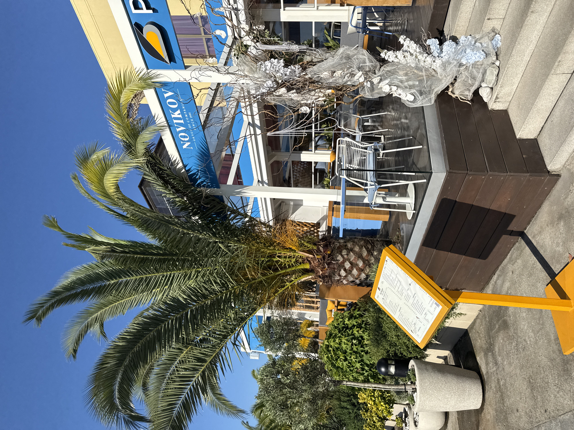 Sochi's palm-lined promenade on a sunny summer morning