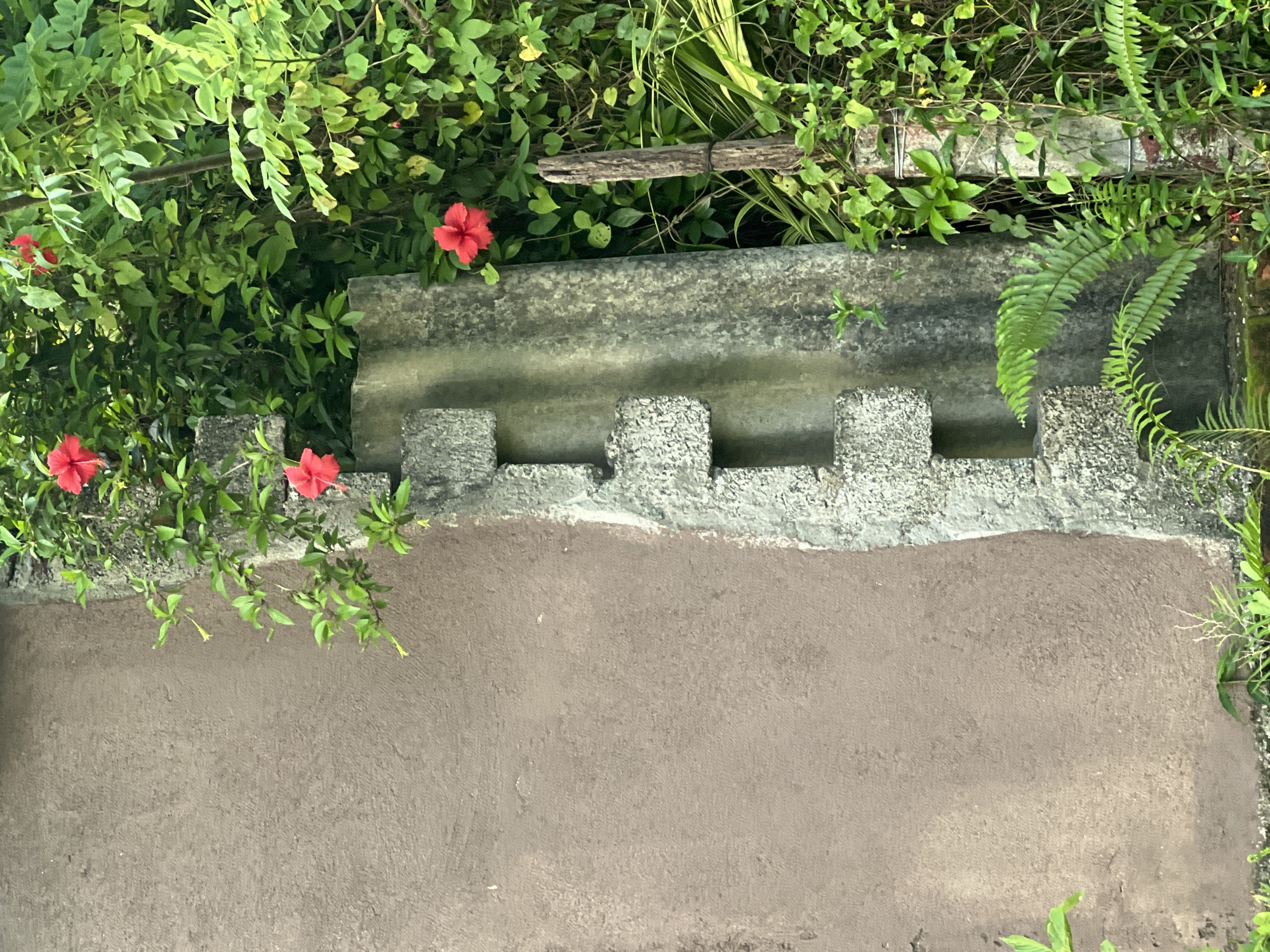 Urban wall with vegetation documented at city location