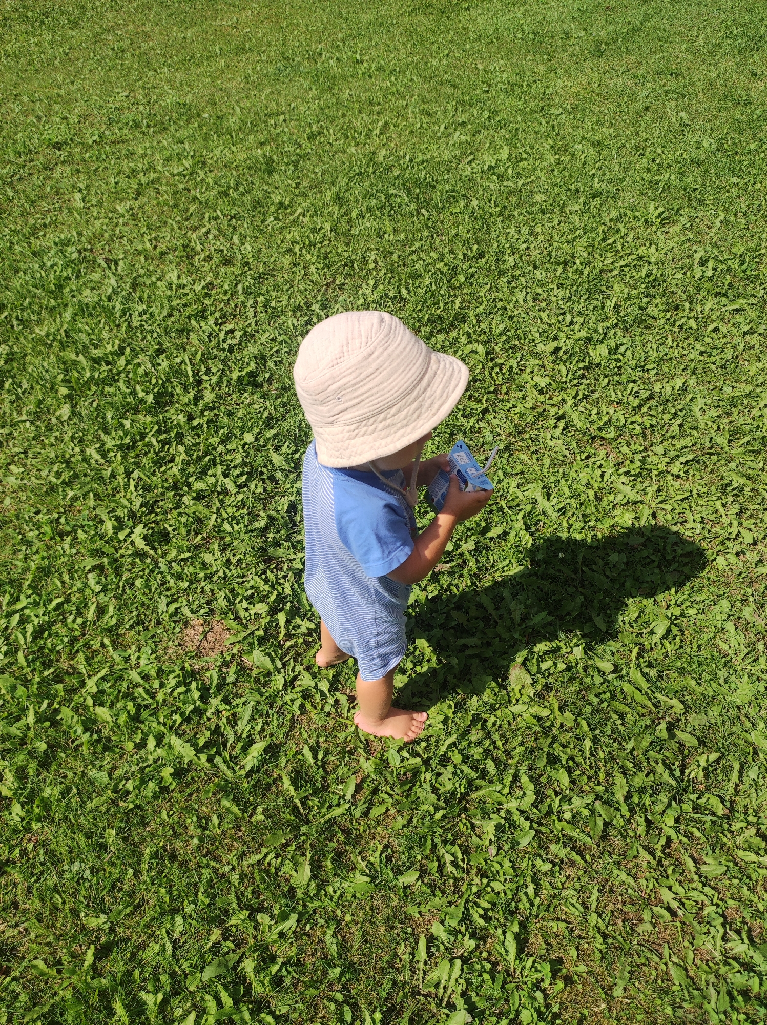 Toddler, poodle, and snacks on a sunny morning out